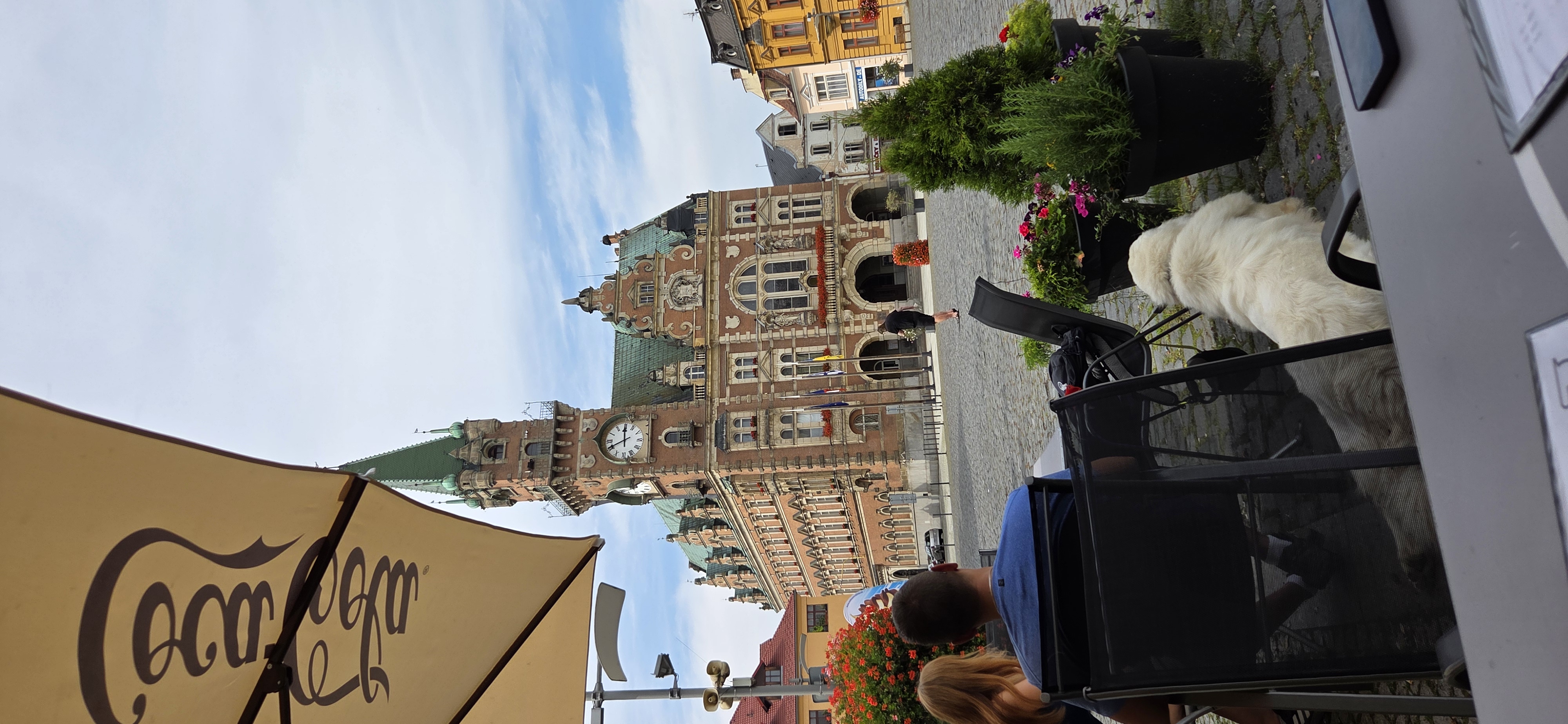Restaurace Bílý Kůň foto 4