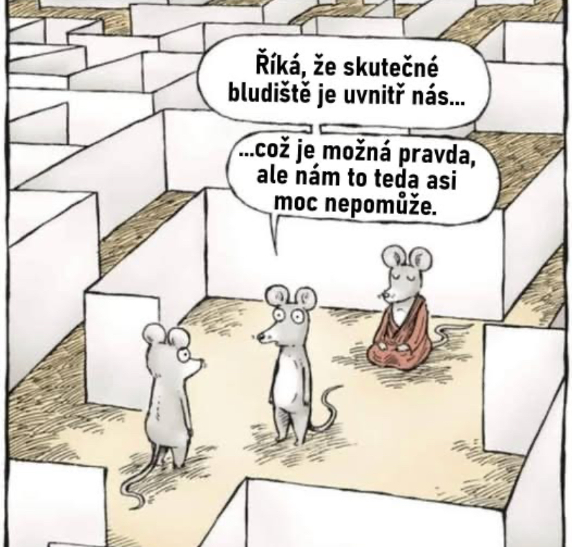 Bc. Pavel Hrbáč - terapie, adiktologie foto 2