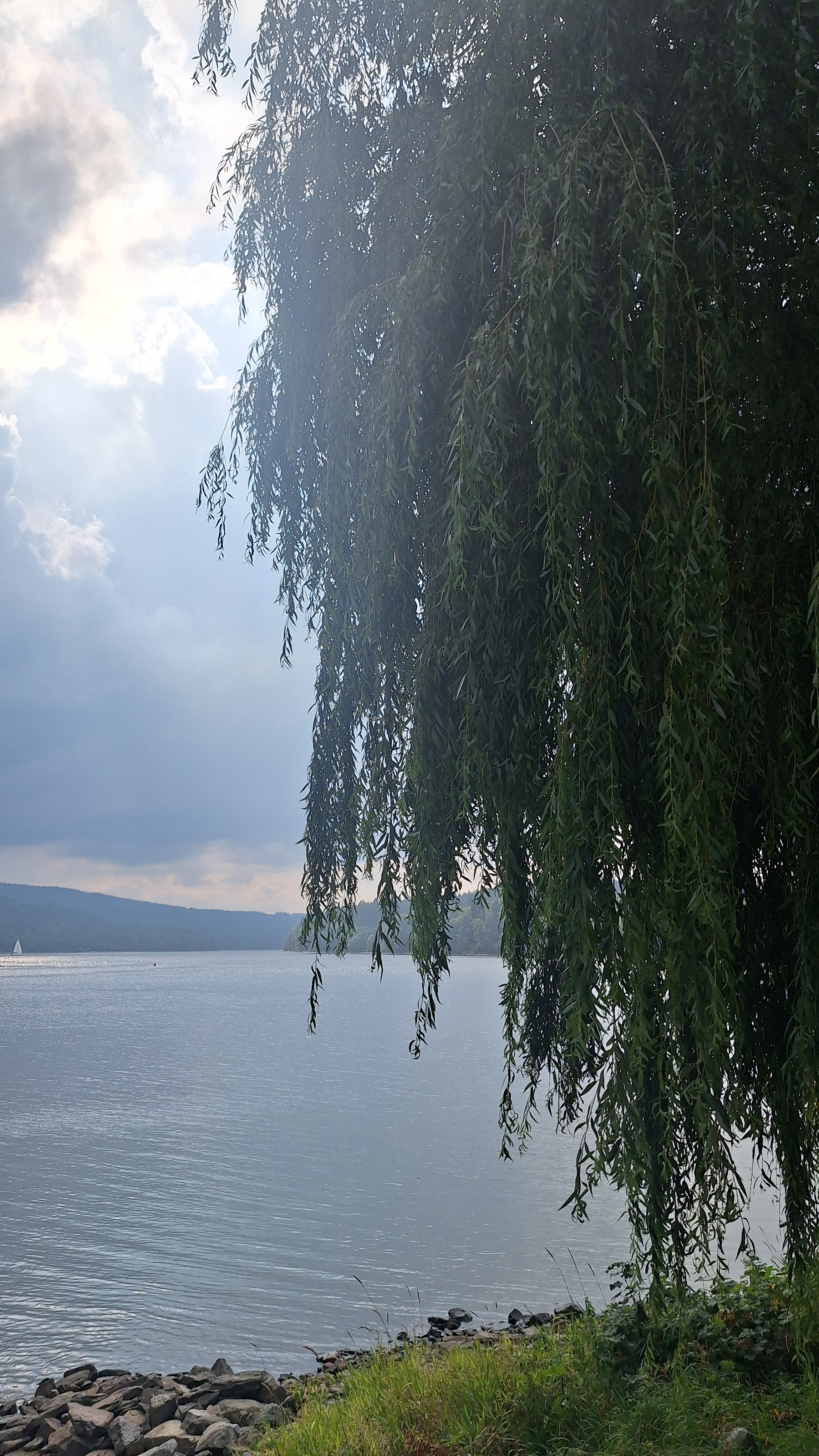 Penzion Vřesná foto 2