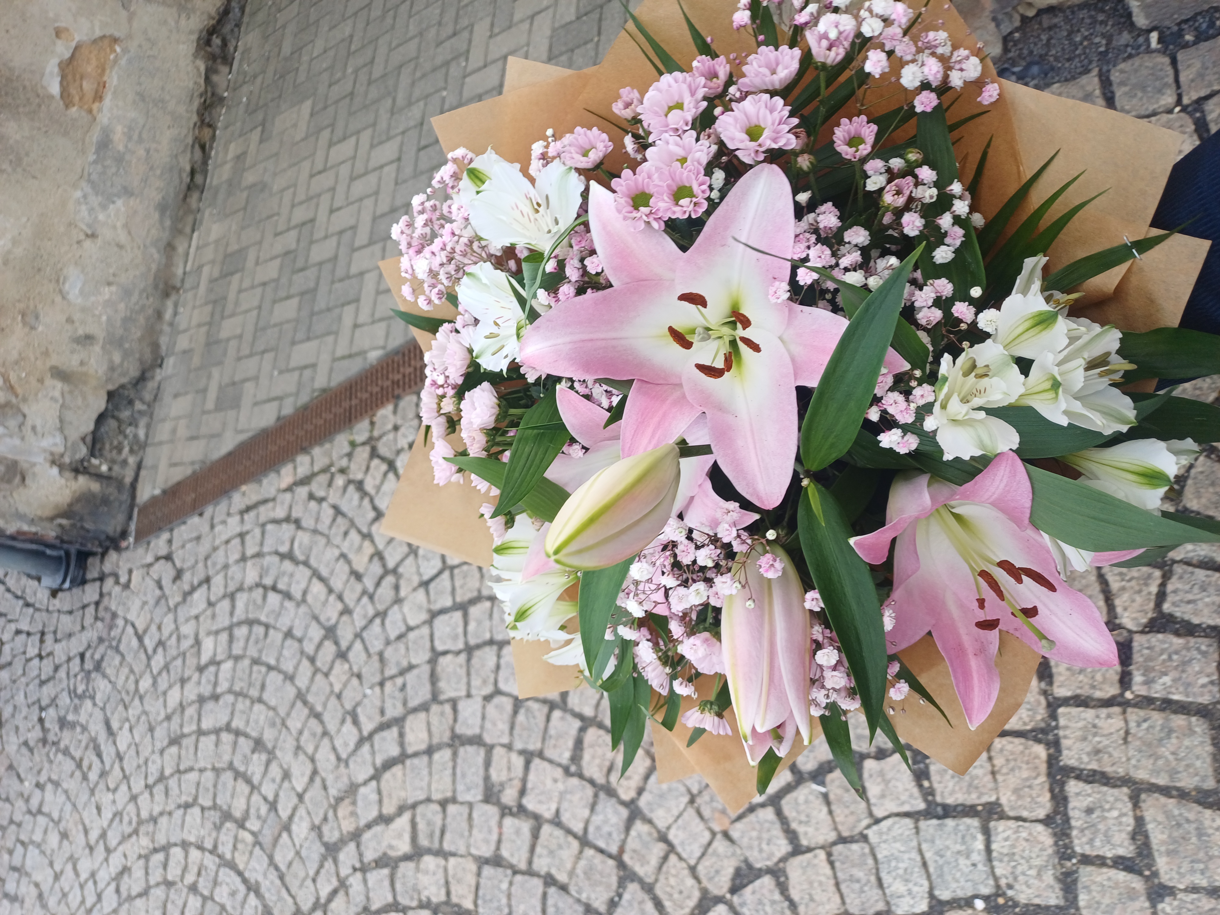 Květiny Nikola Pokorná foto 2