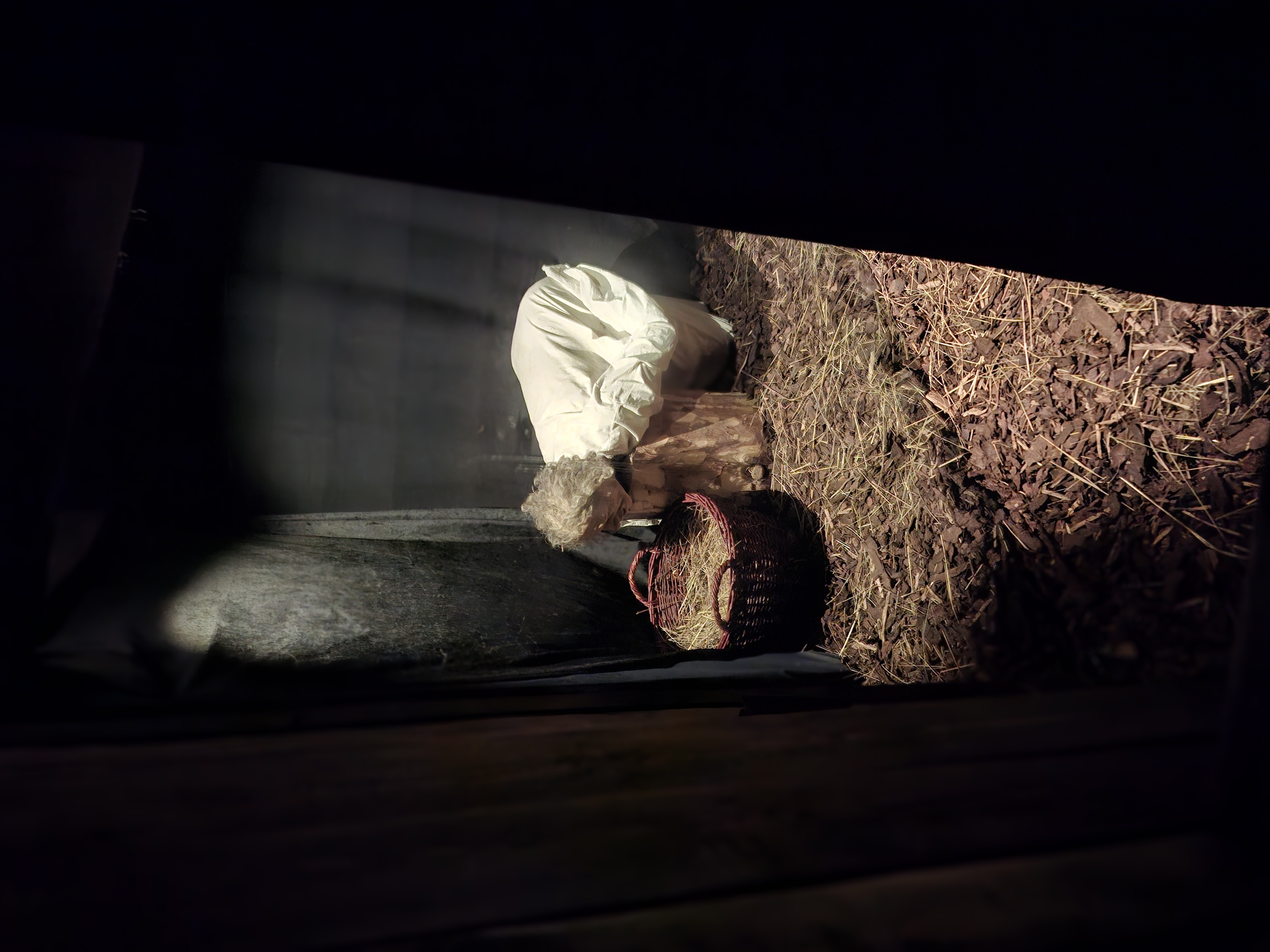 Museum of Torture foto 2