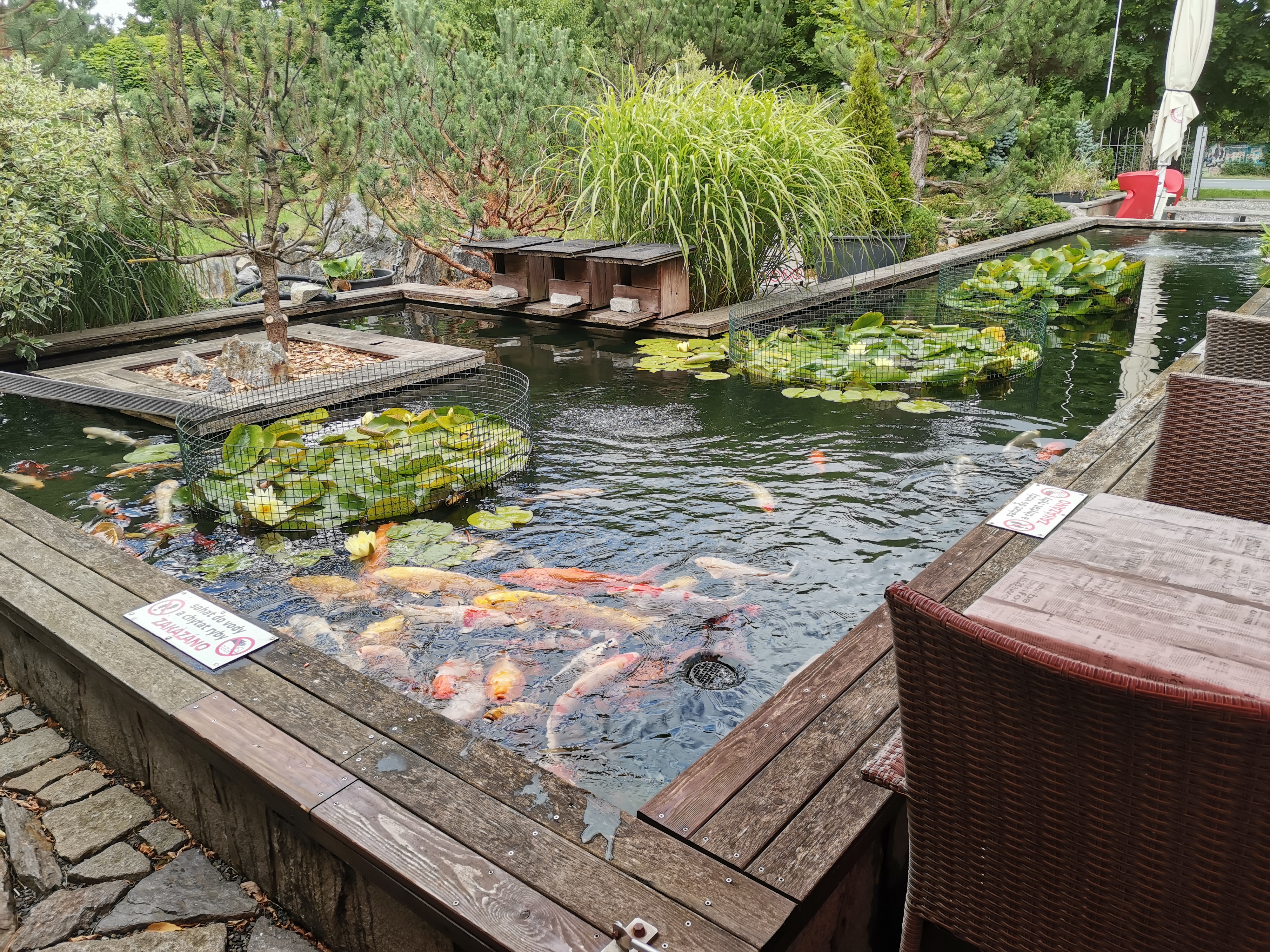 KOI Cafe foto 1