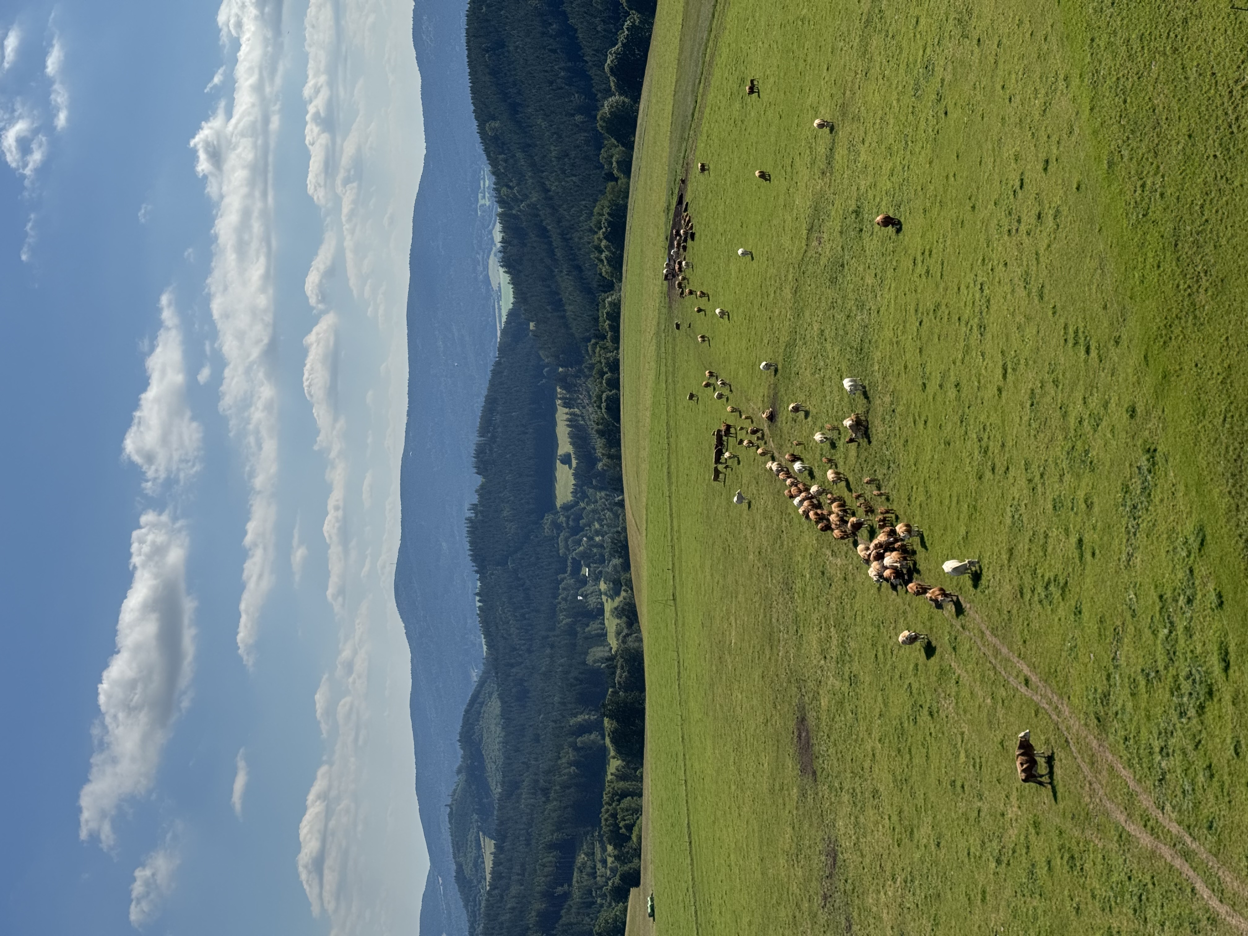 Sněžník Basecamp foto 6