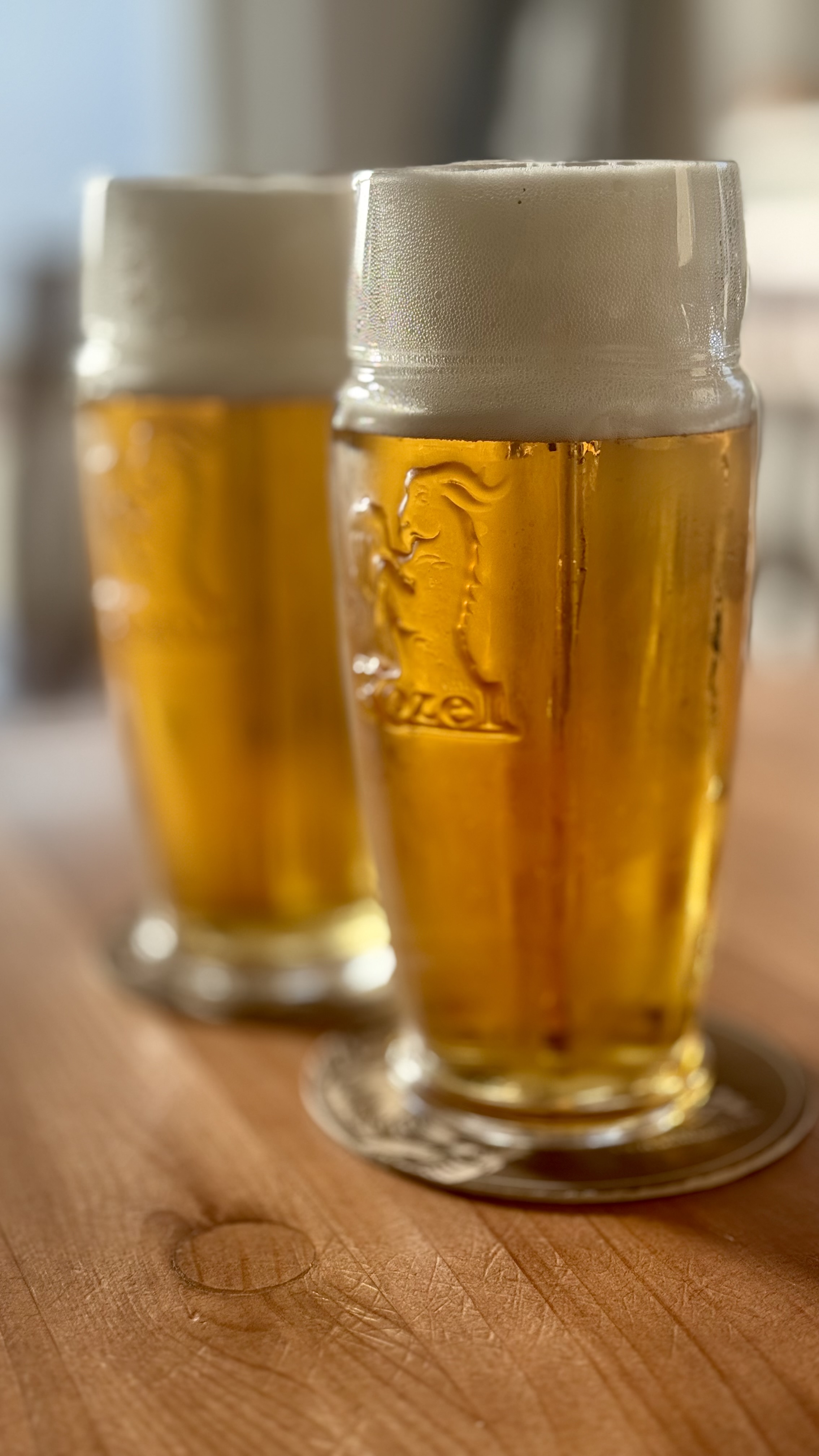 U ZMRZLINÁŘE foto 4