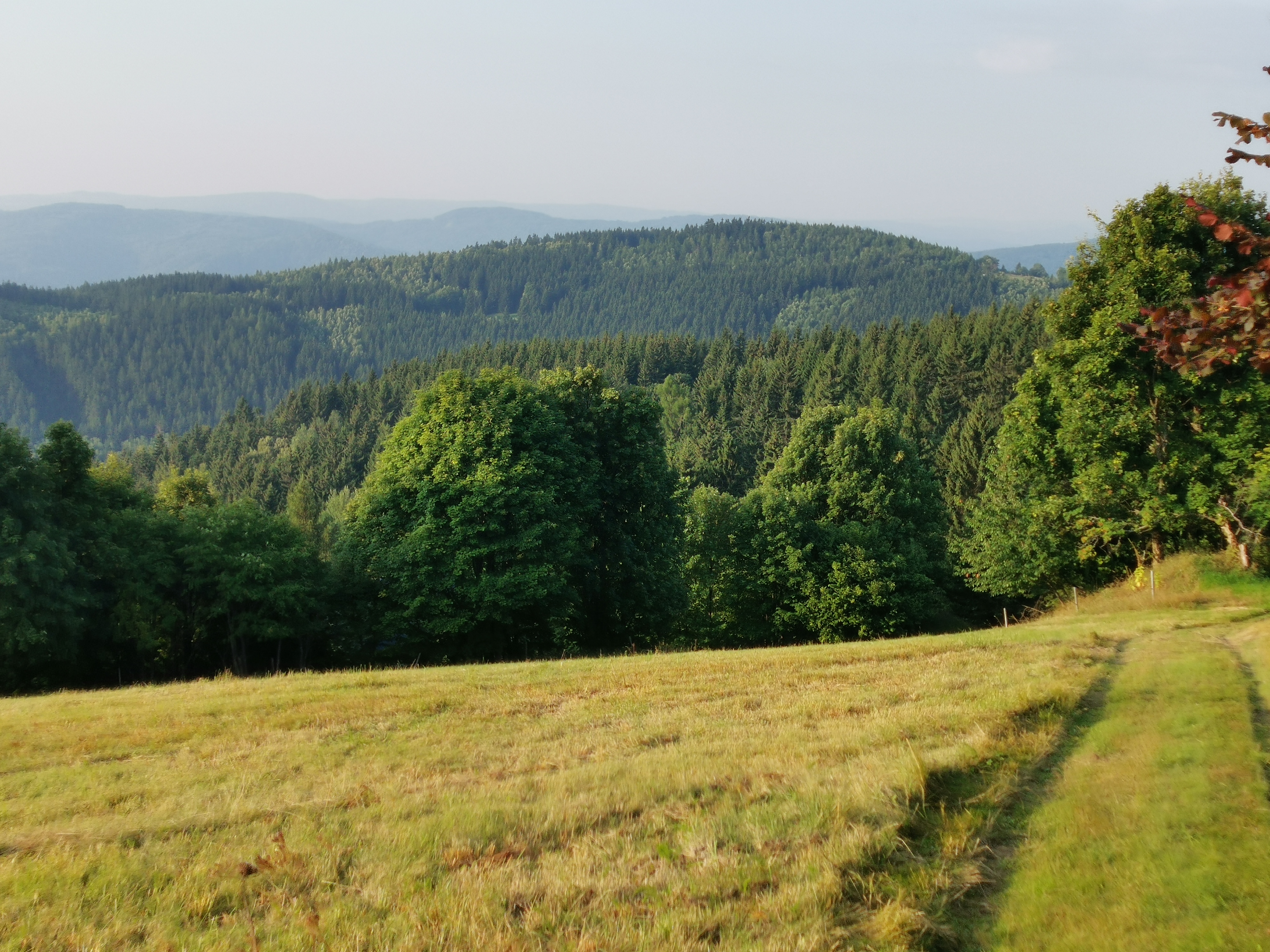 Jelení dřevěnice na Horní Halži foto 2
