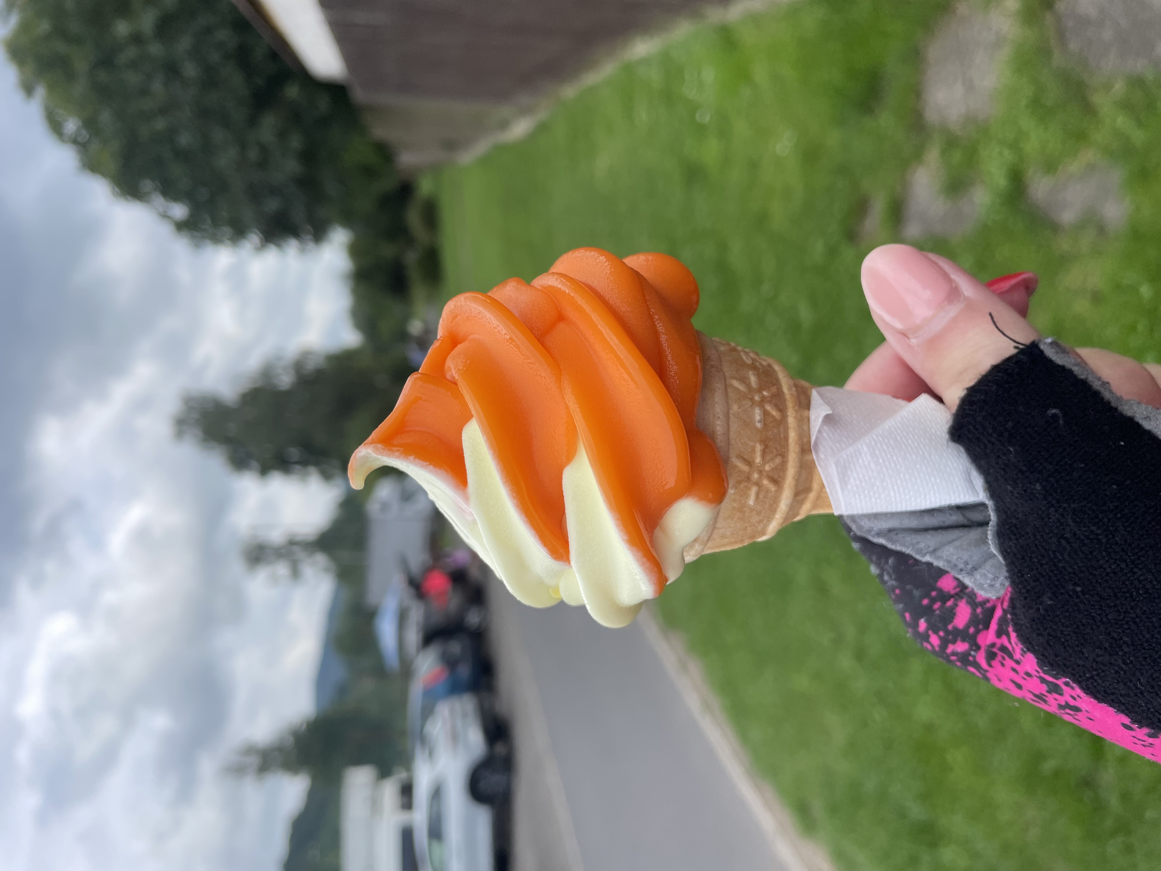 Zmrzlina z garáže foto 2