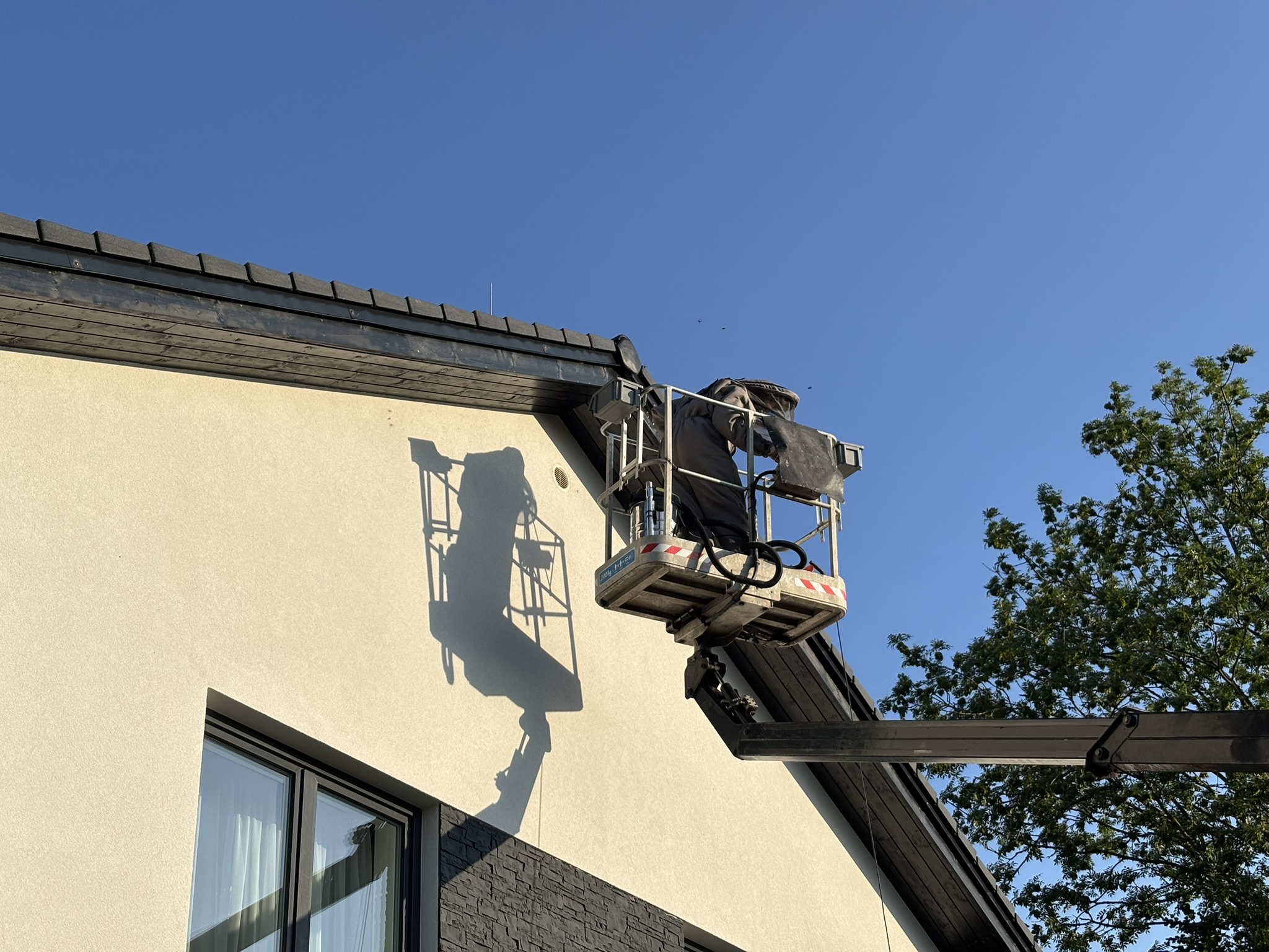 Deratizace a dezinsekce Pavel Šibor foto 4
