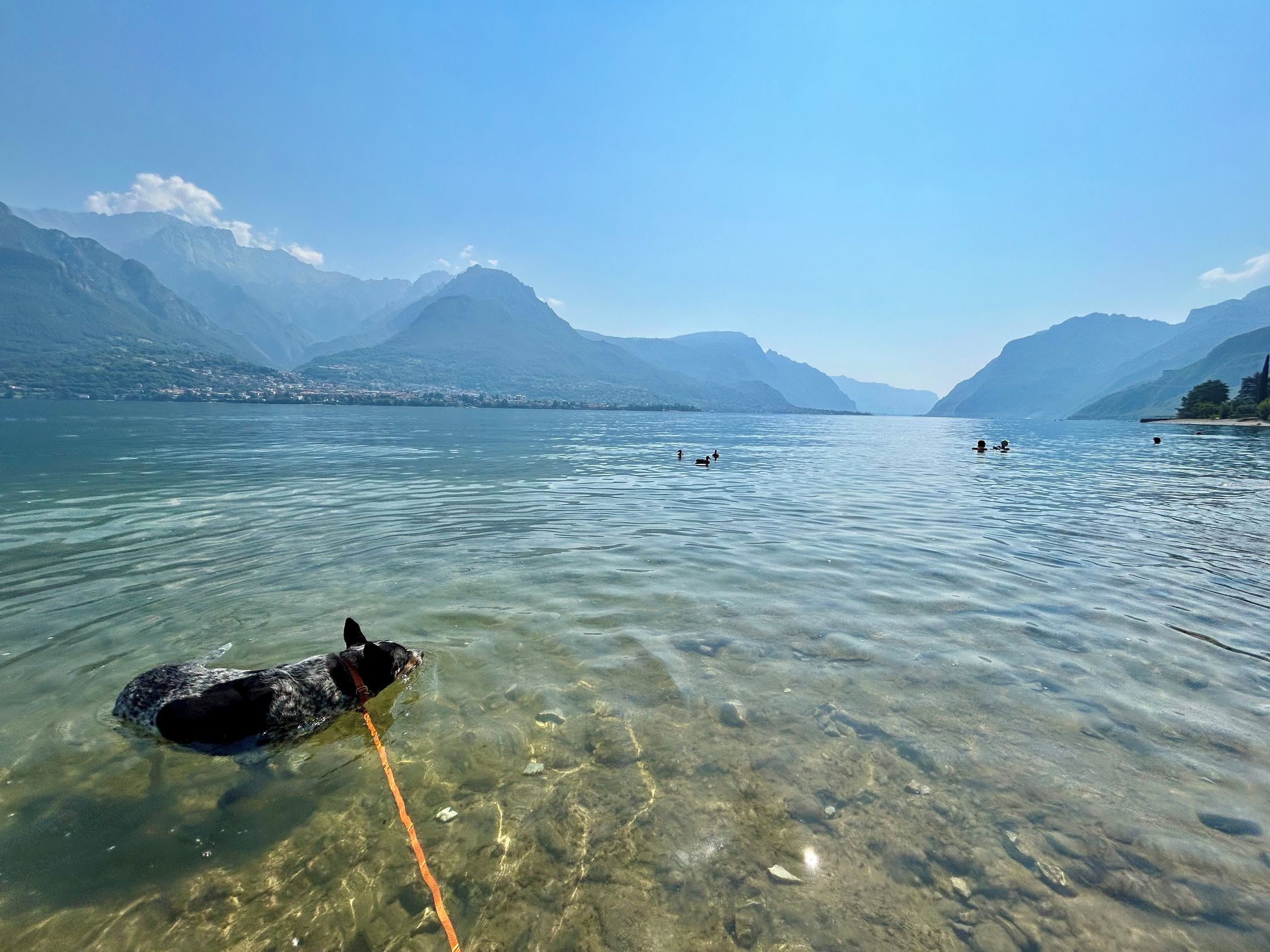 Lago di Como pies