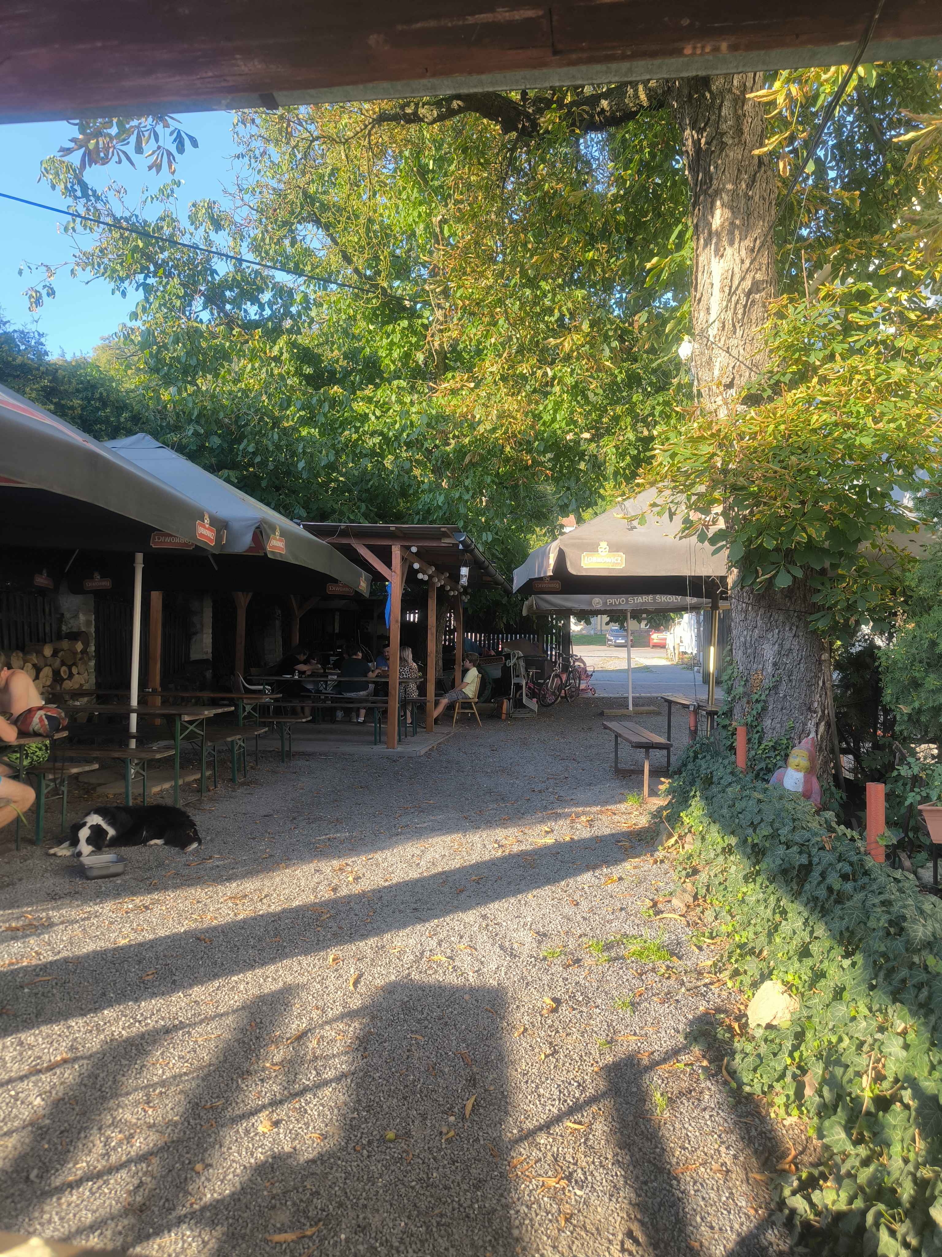 Restaurace U Šebků foto 4