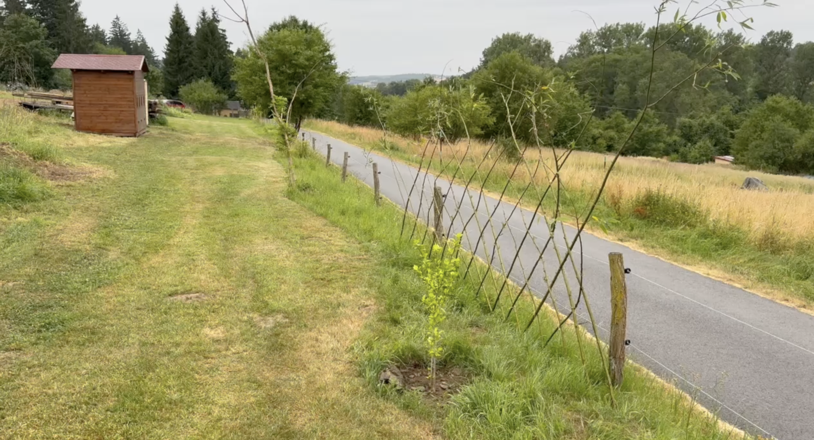 Lesní ateliér - komunitní zahrada foto 5