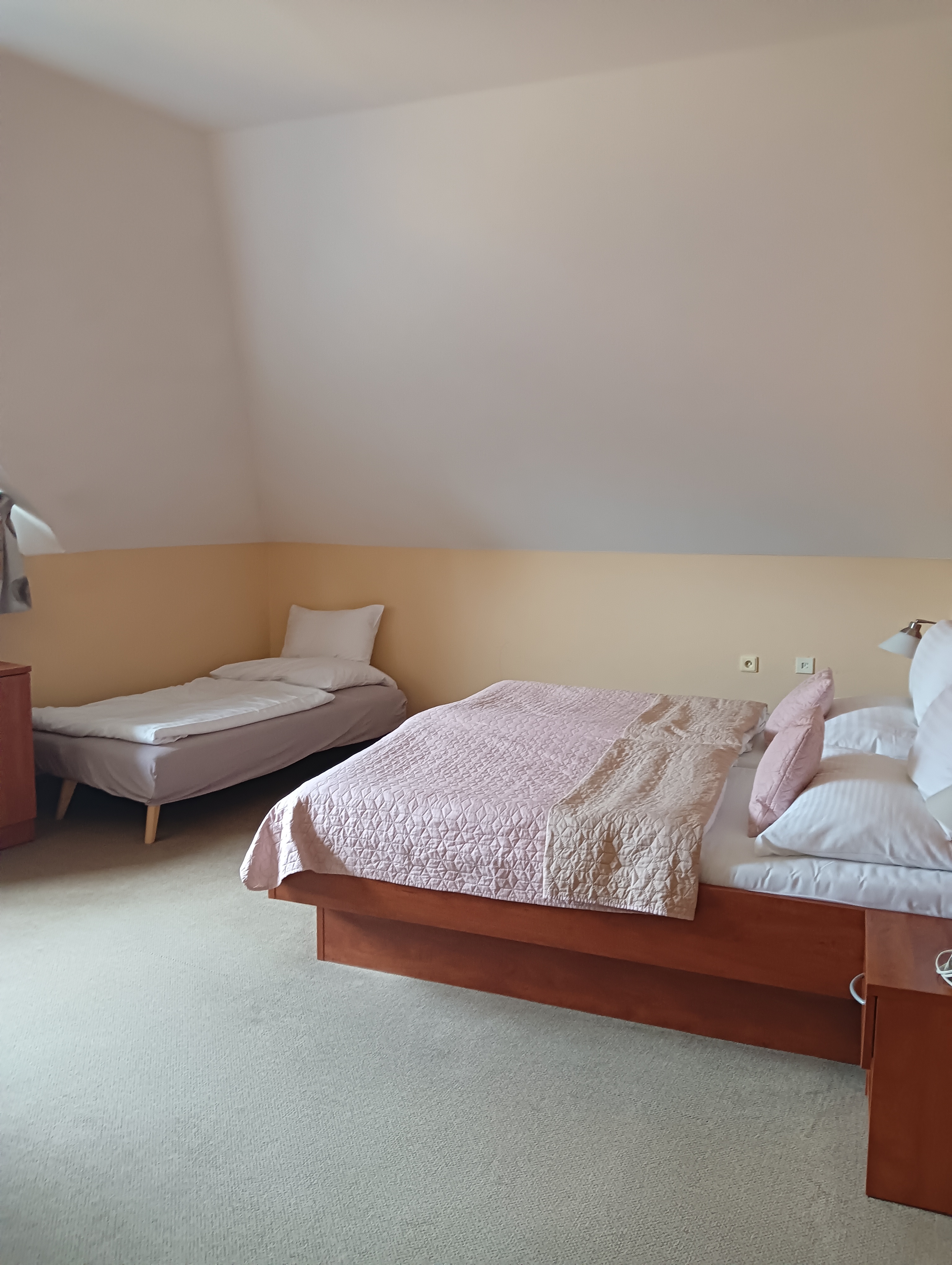 Hotel U Vlašského dvora foto 5