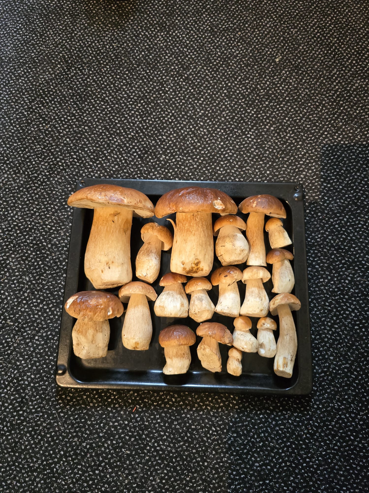 Vila Vlčí Hora foto 2