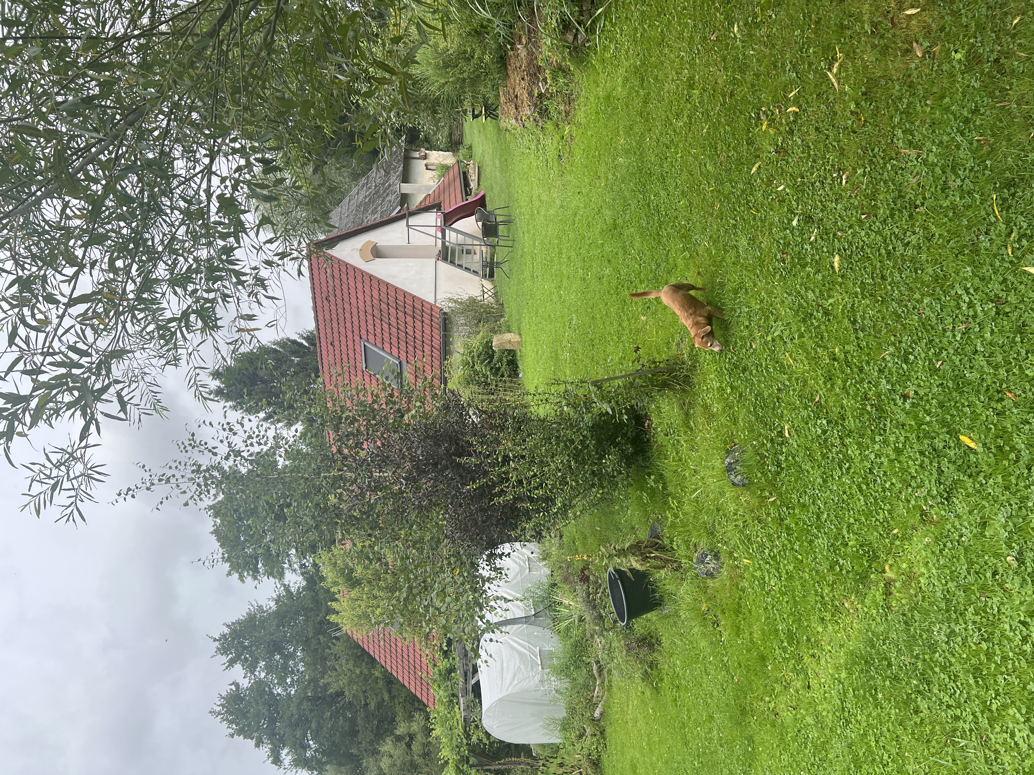 Farma Dolejší mlýn foto 3