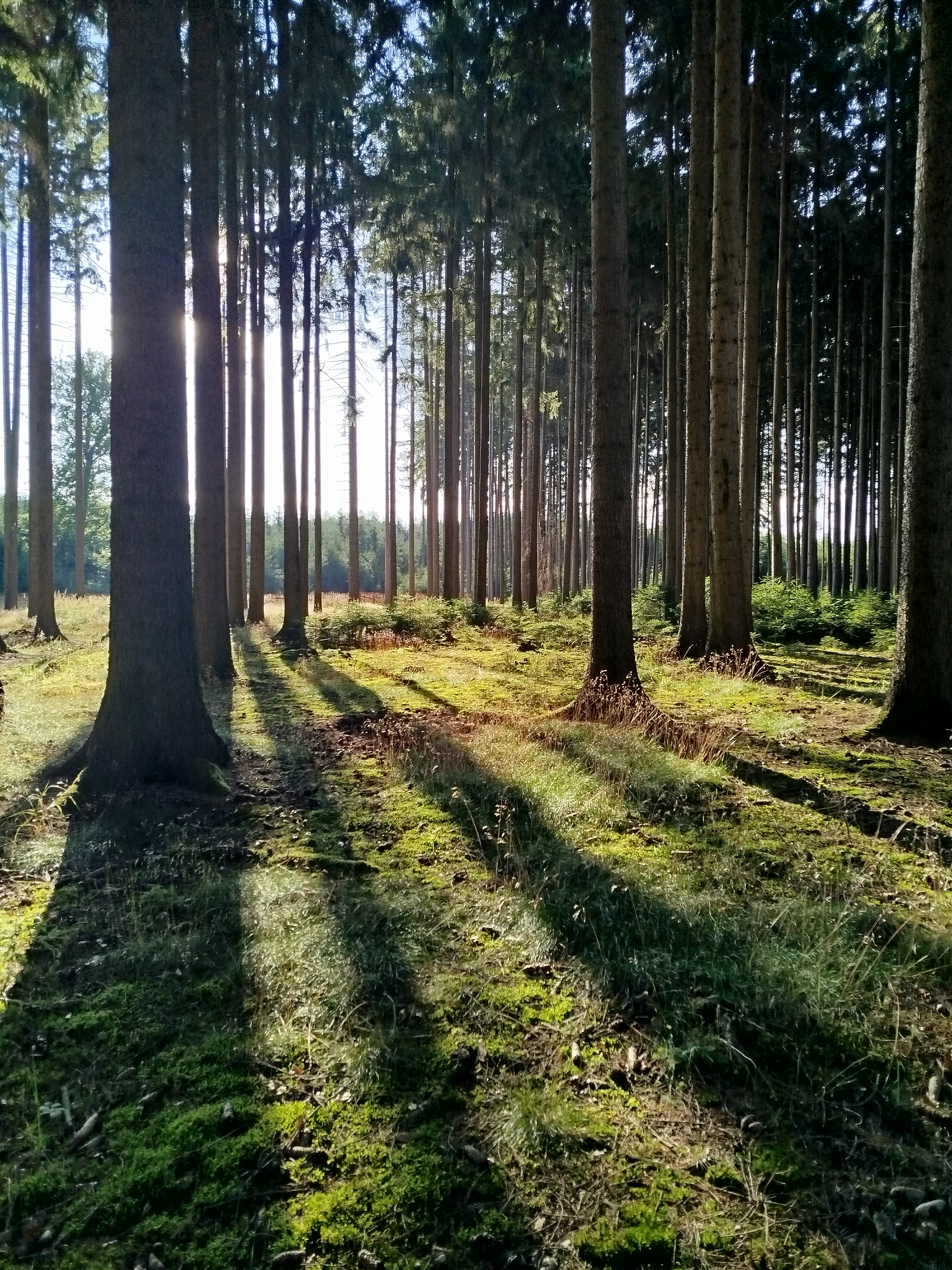 Domek na vsi foto 5