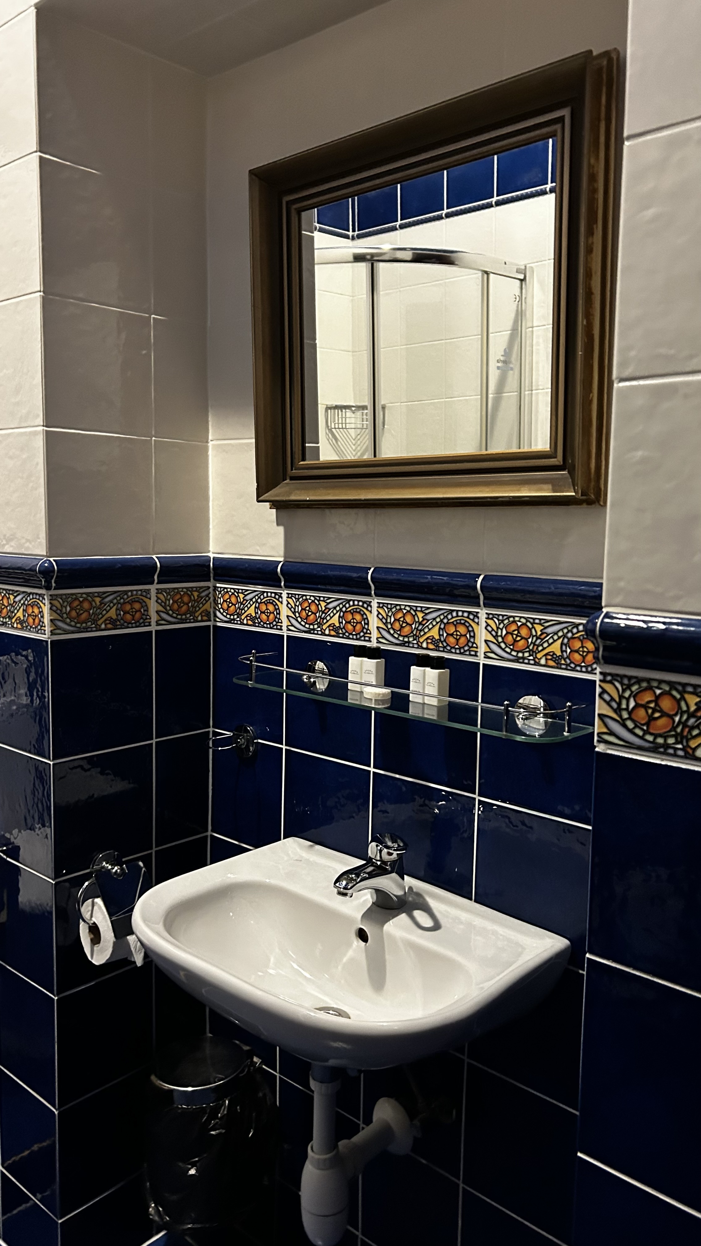 Grand Hotel Praha foto 5