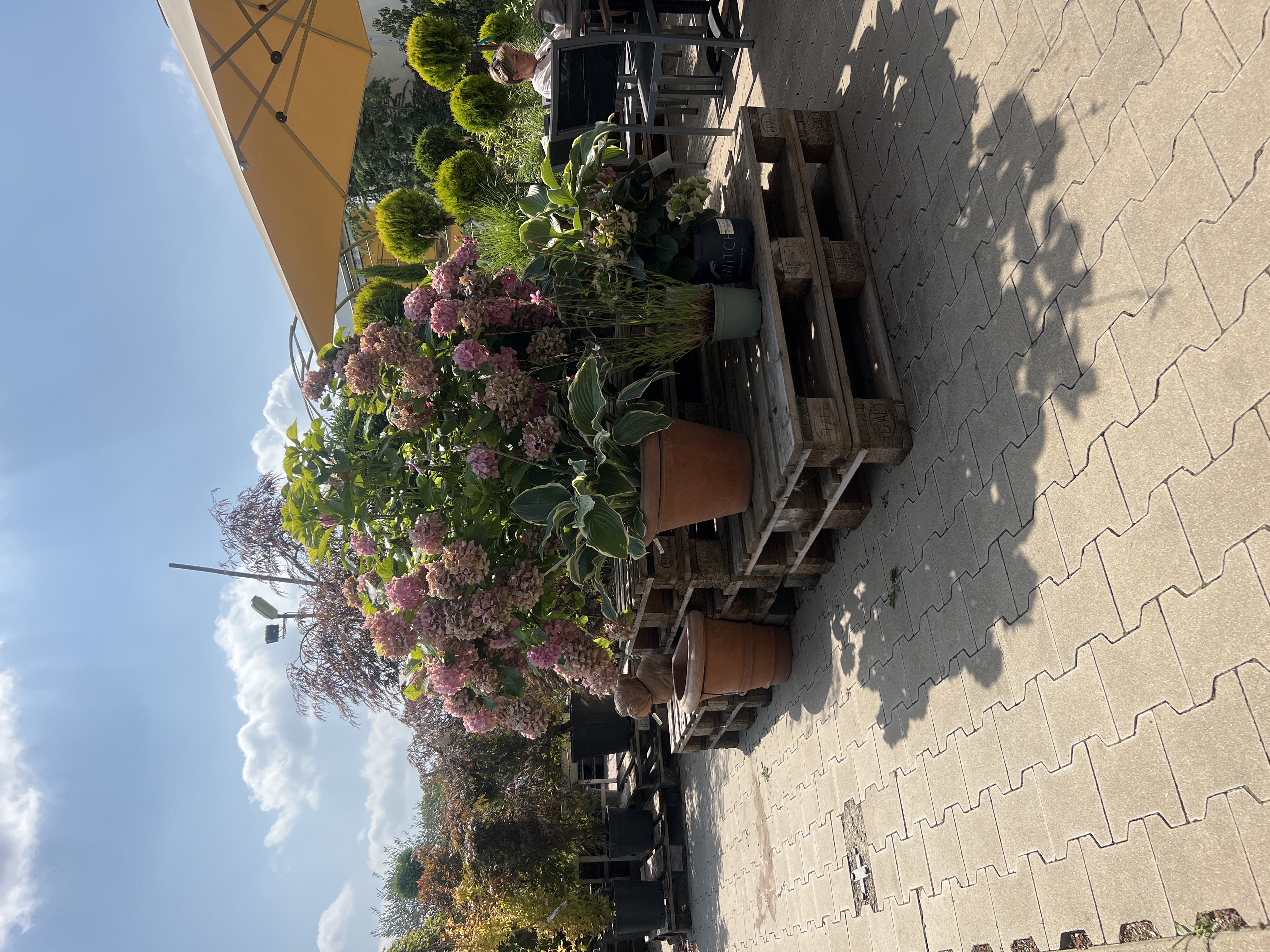 Zahradnictví Líbeznice foto 5