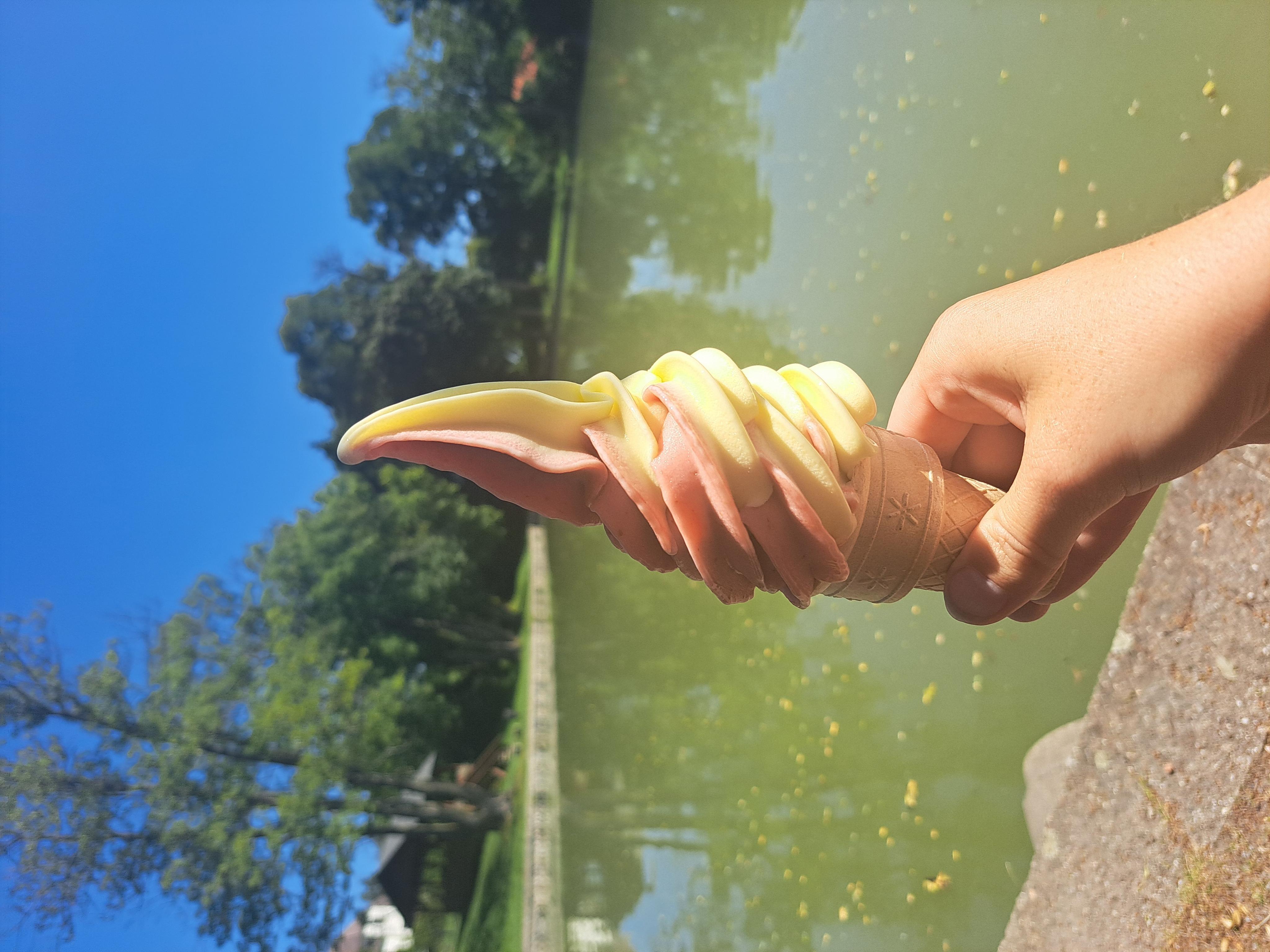 Točená zmrzlina u rybníka foto 5