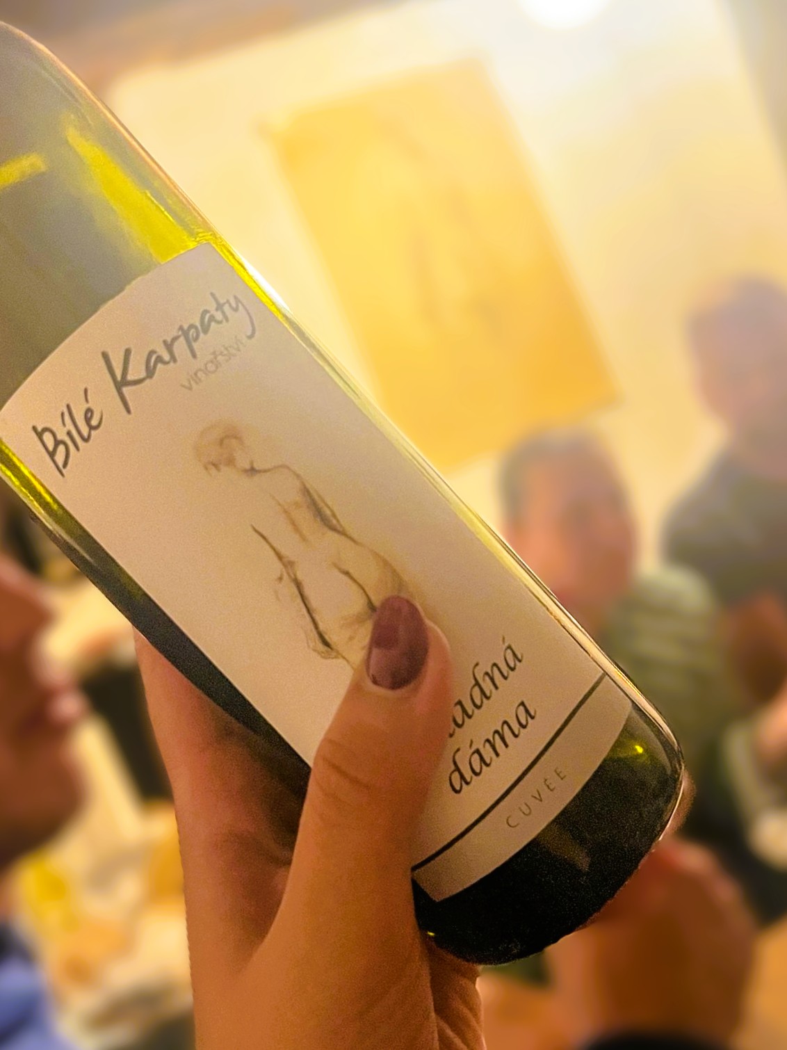 Bílé Karpaty vinařství foto 4