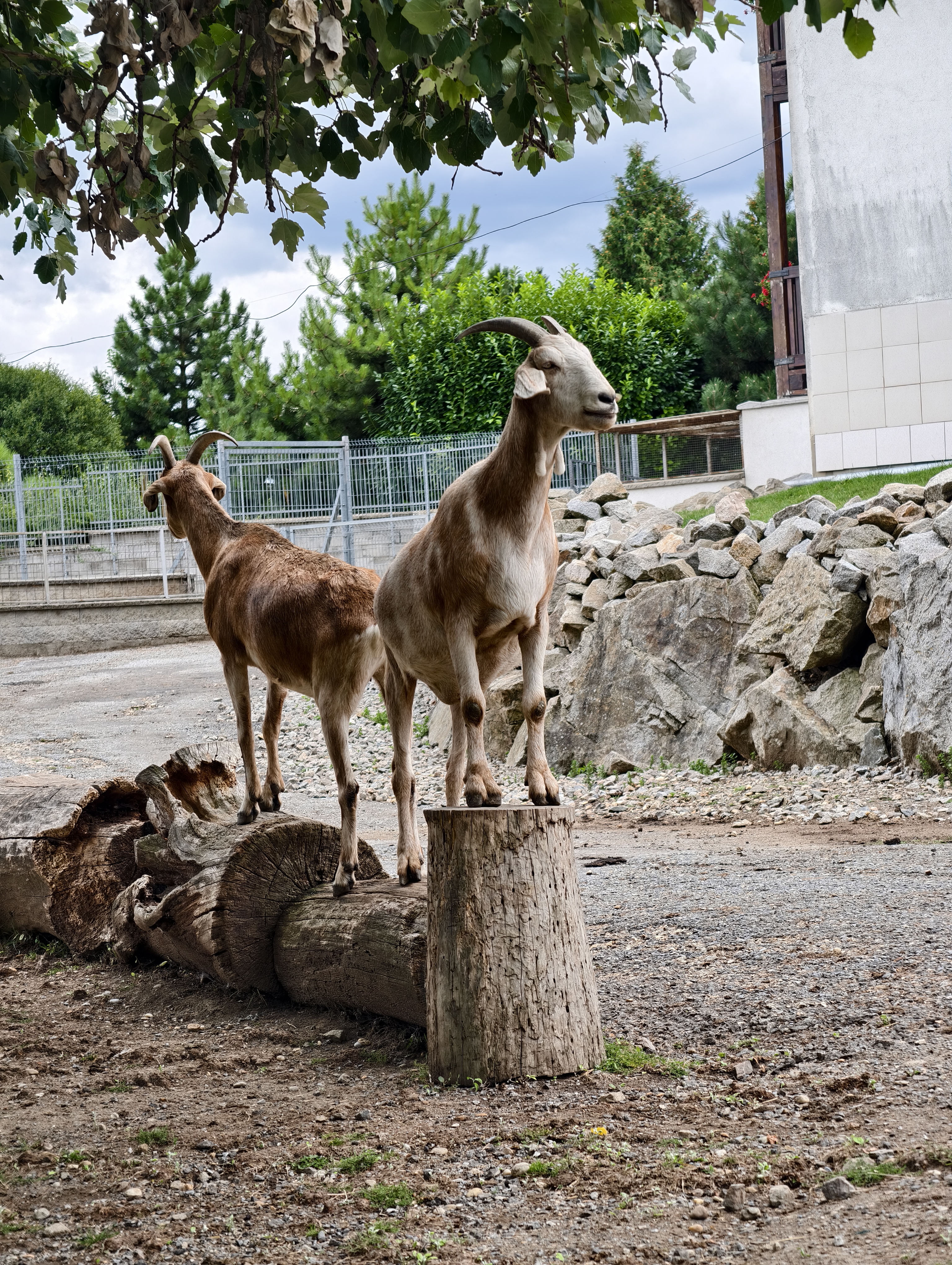 Zoopark Čarodějnický dvůr foto 5