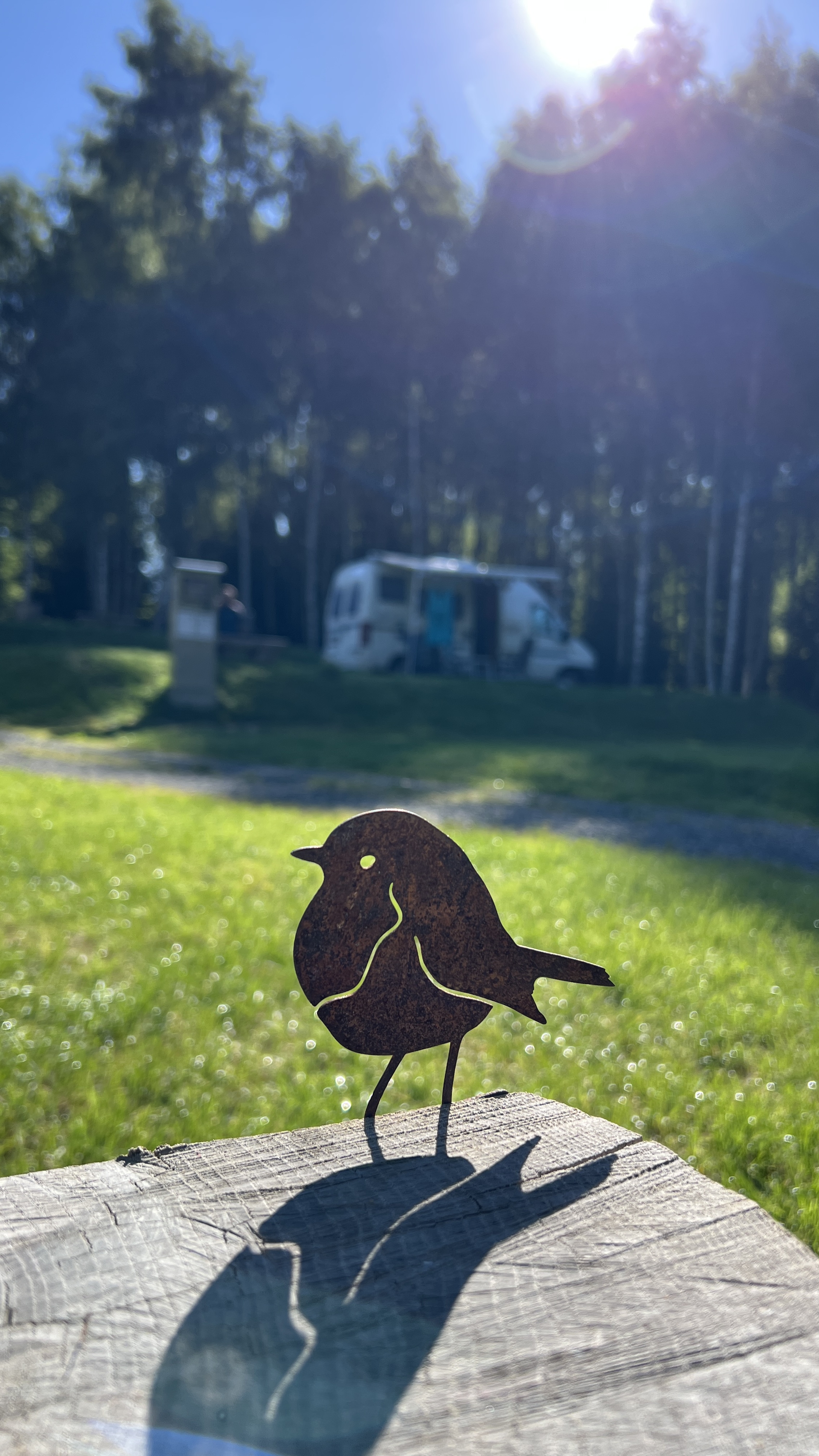 Camping Český les - Stellplatz foto 3