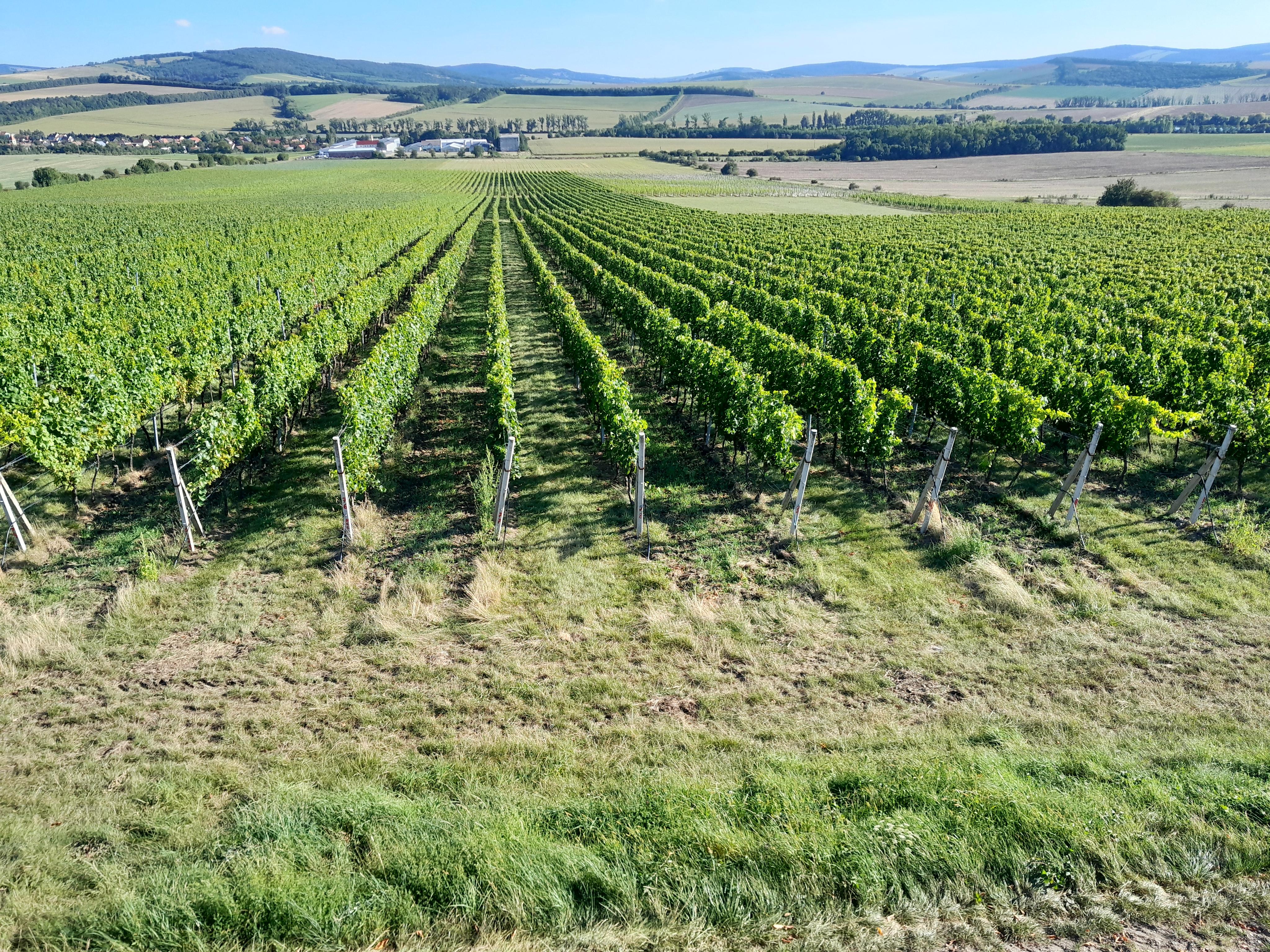 Ubytování Smějsík foto 4