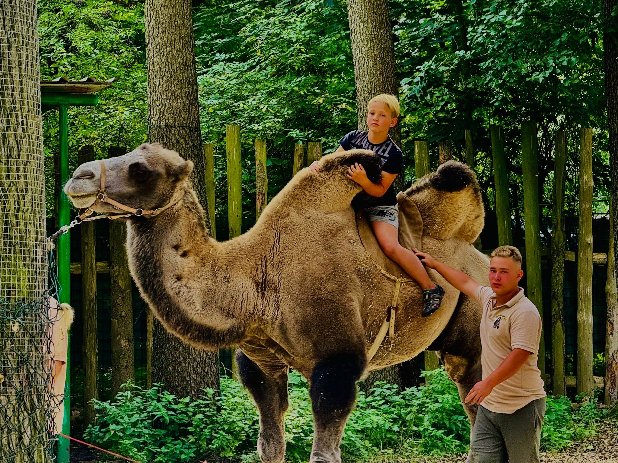 ZOOPARK Doksy foto 3