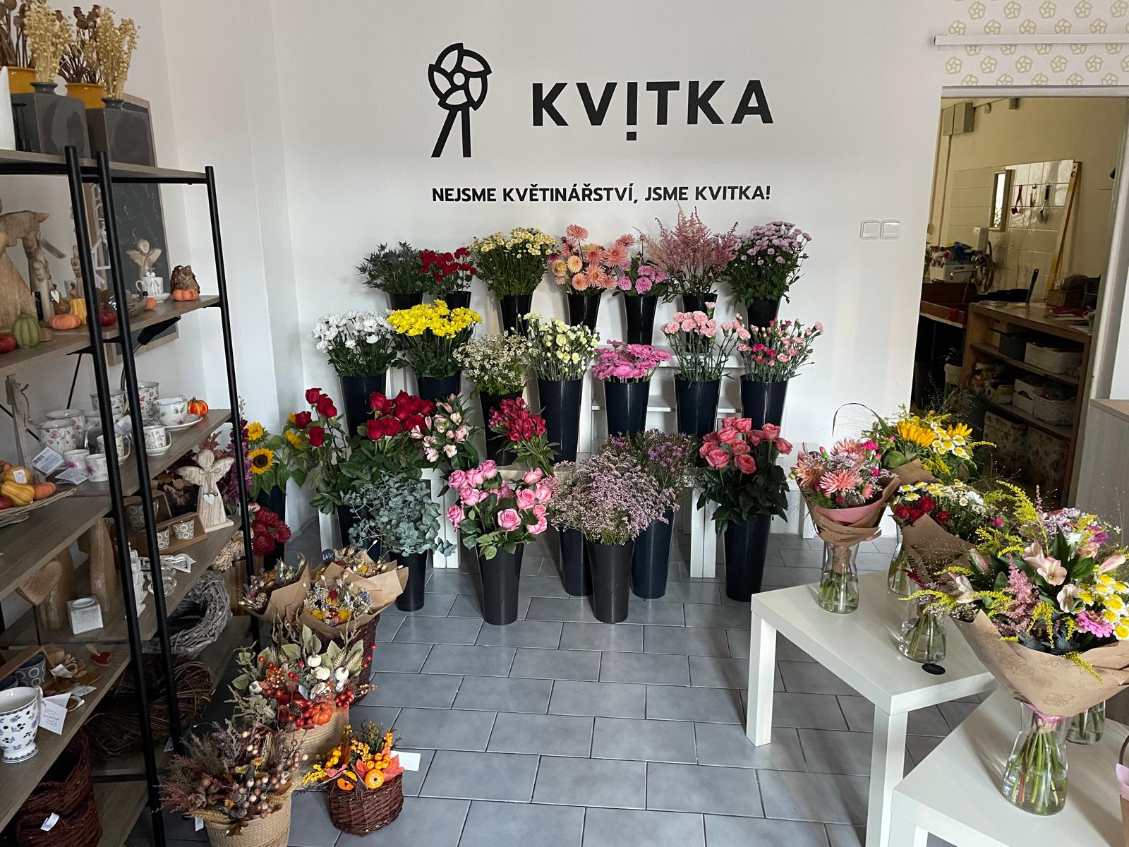 KVITKA Ostrava foto 3