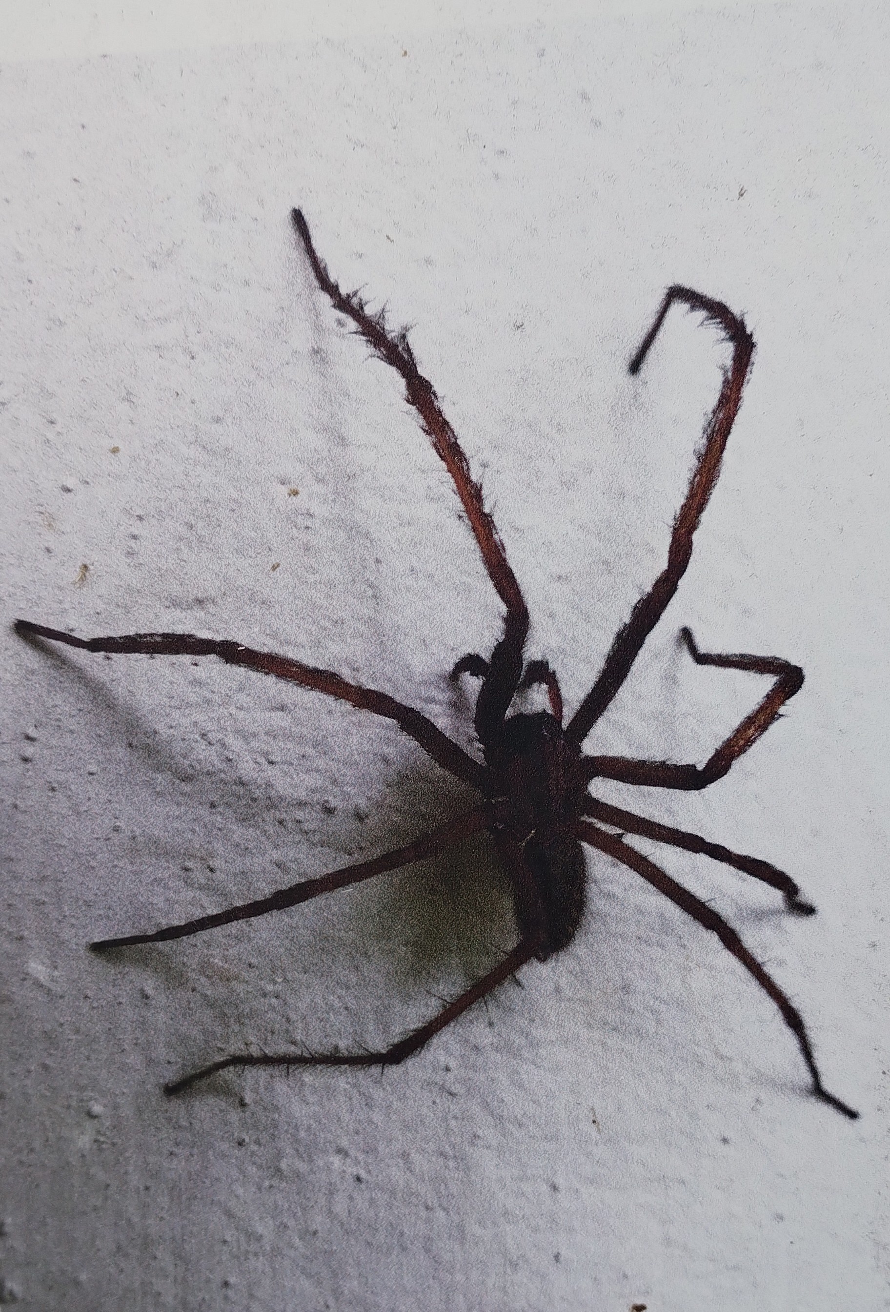 Ubytovna Pod hradem foto 3