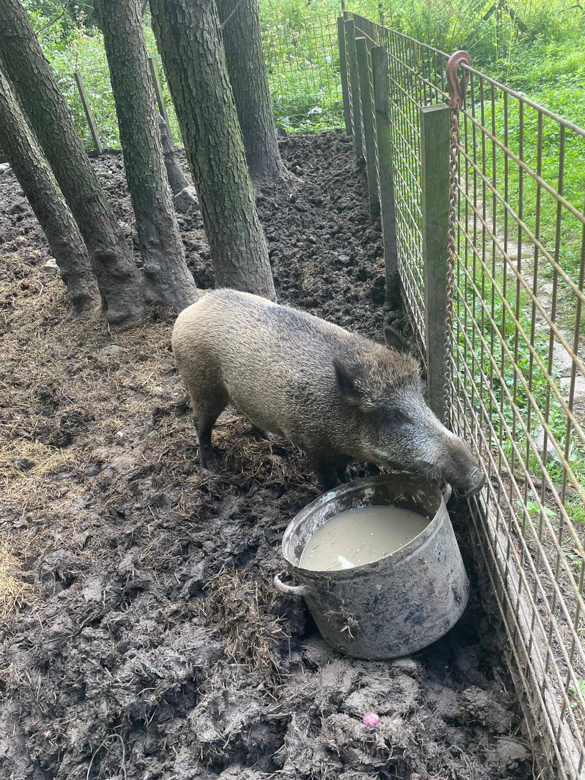 Kameňácká myslivna foto 5