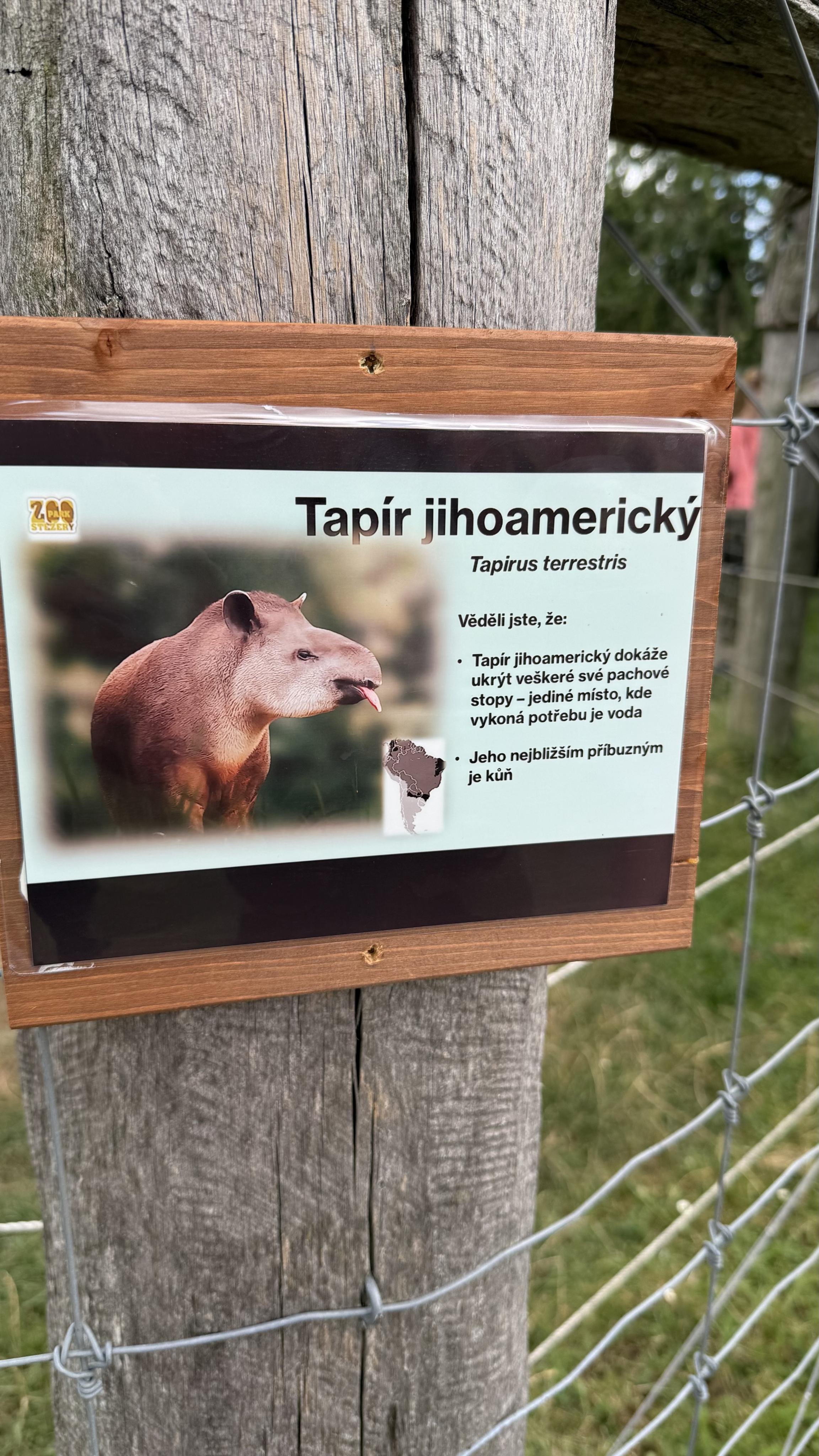 Občerstvení u lesoparku Stěžery foto 3