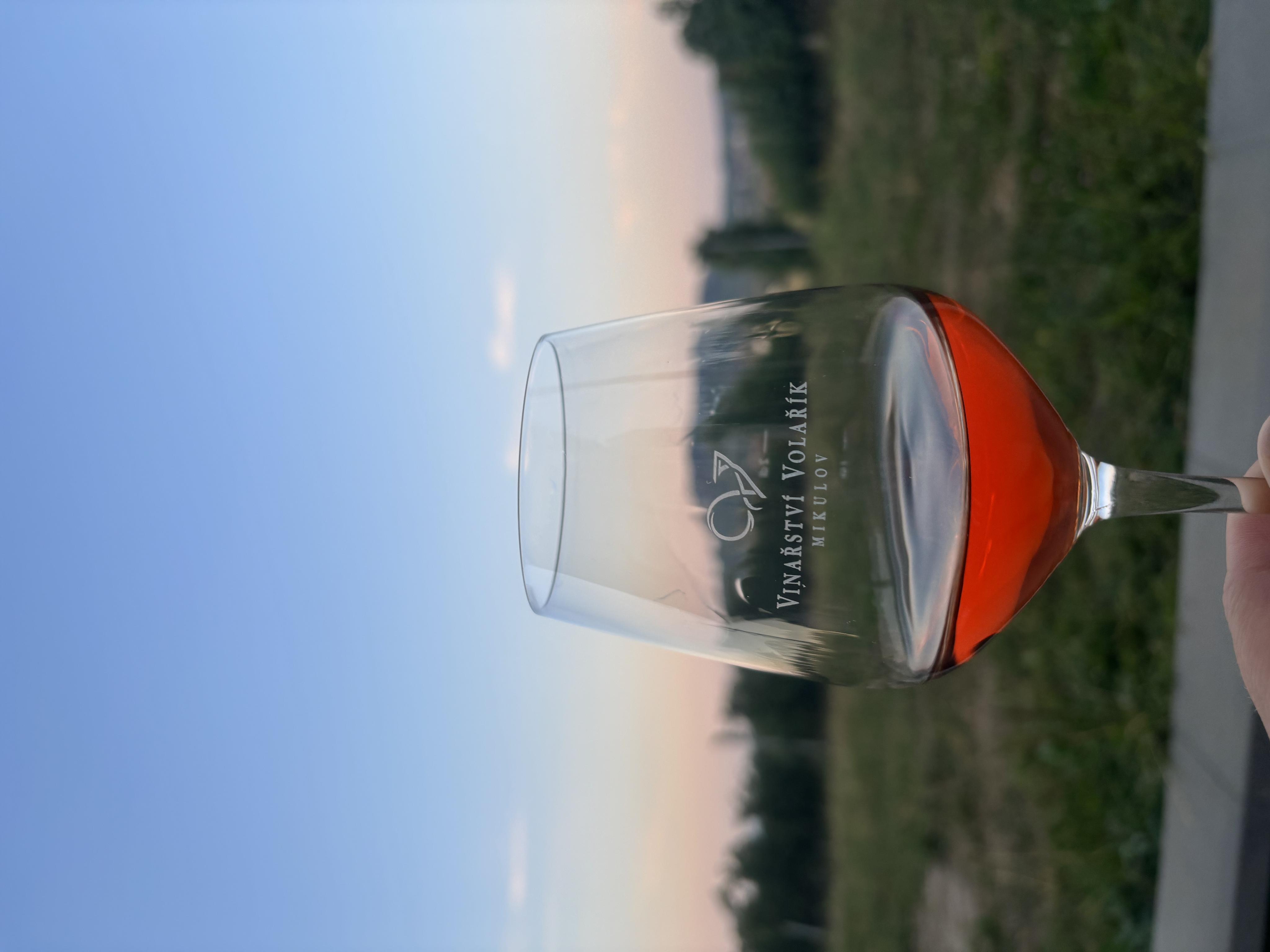 Archivní sklep Vinařství Volařík foto 2