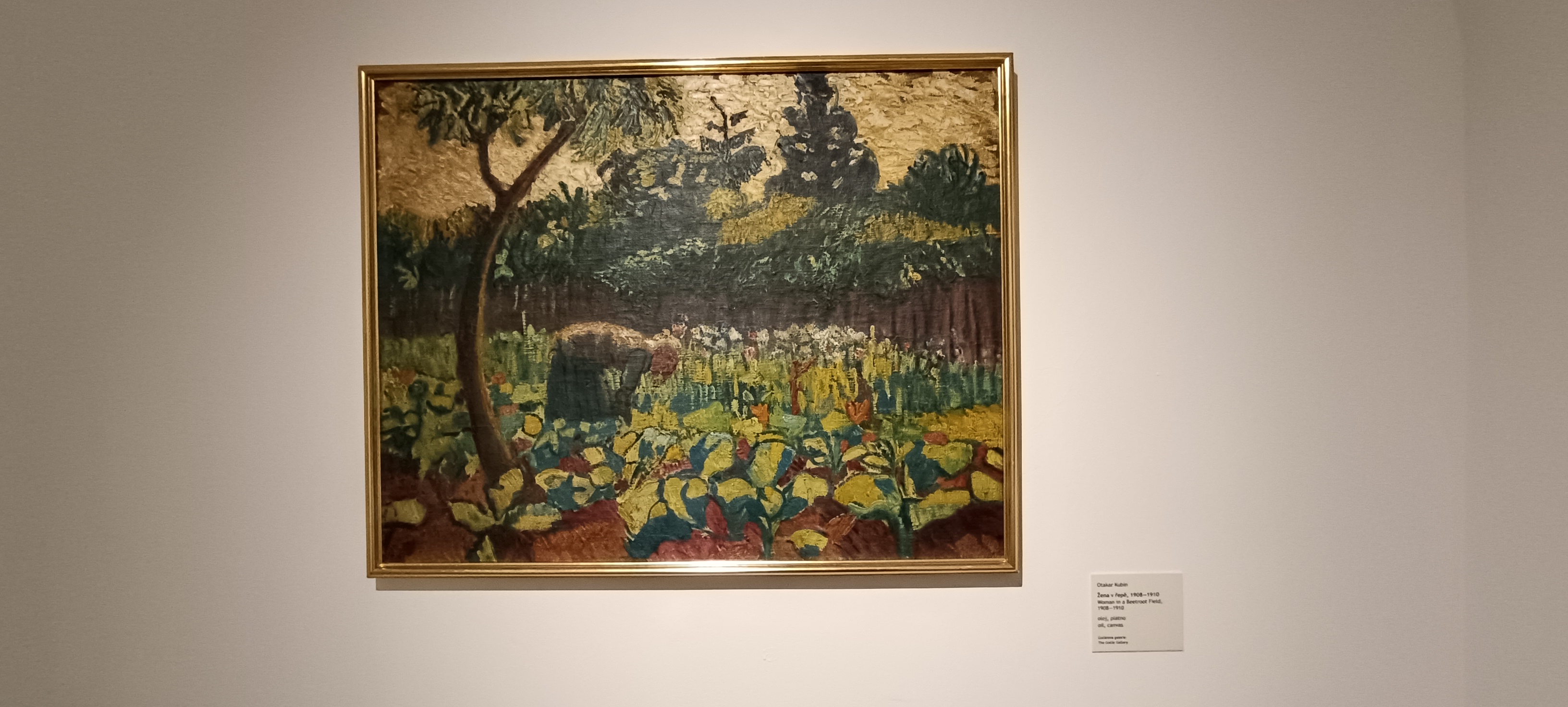Gočárova galerie - Dům U Jonáše foto 4