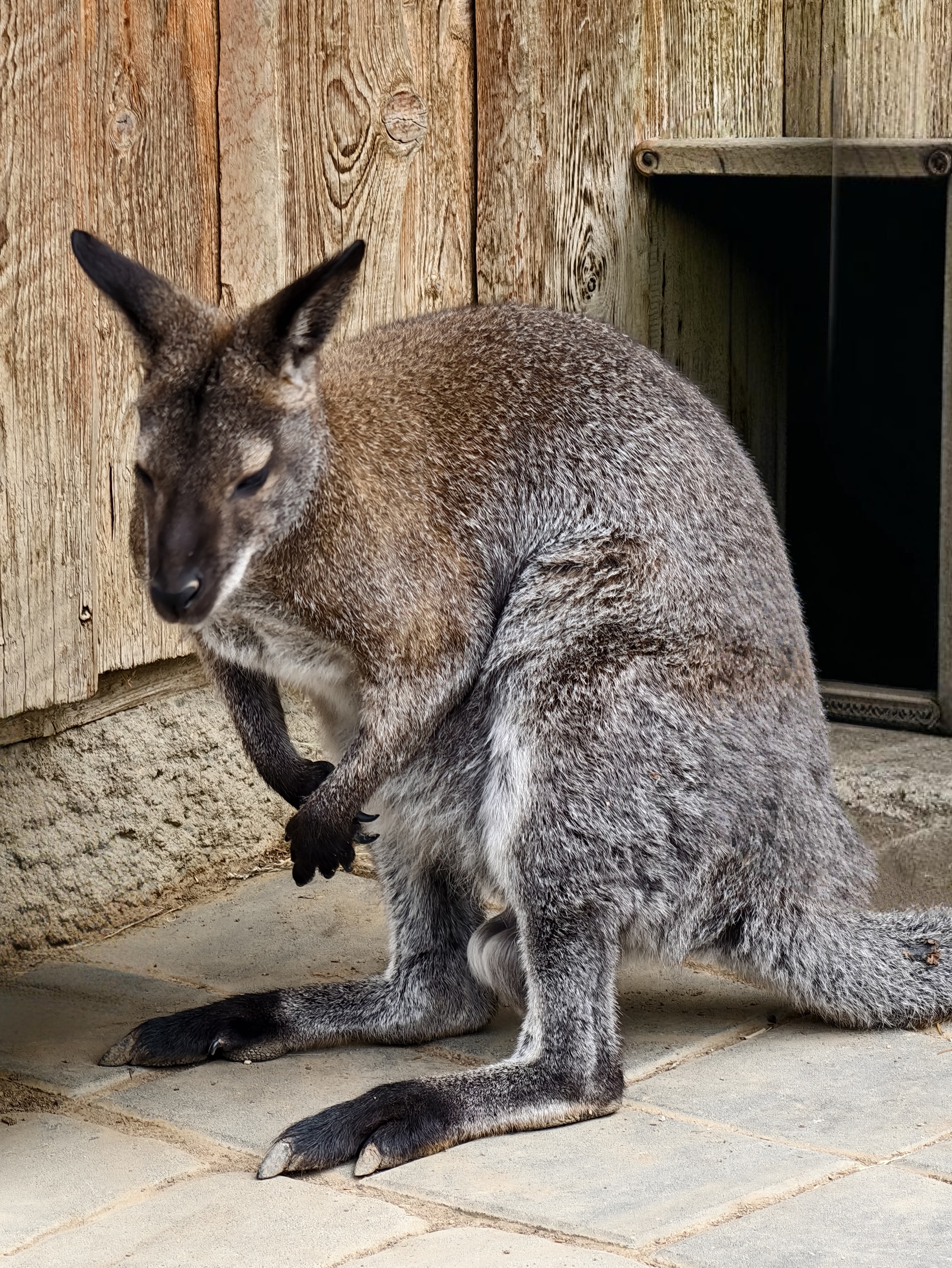 Zoopark Čarodějnický dvůr foto 3