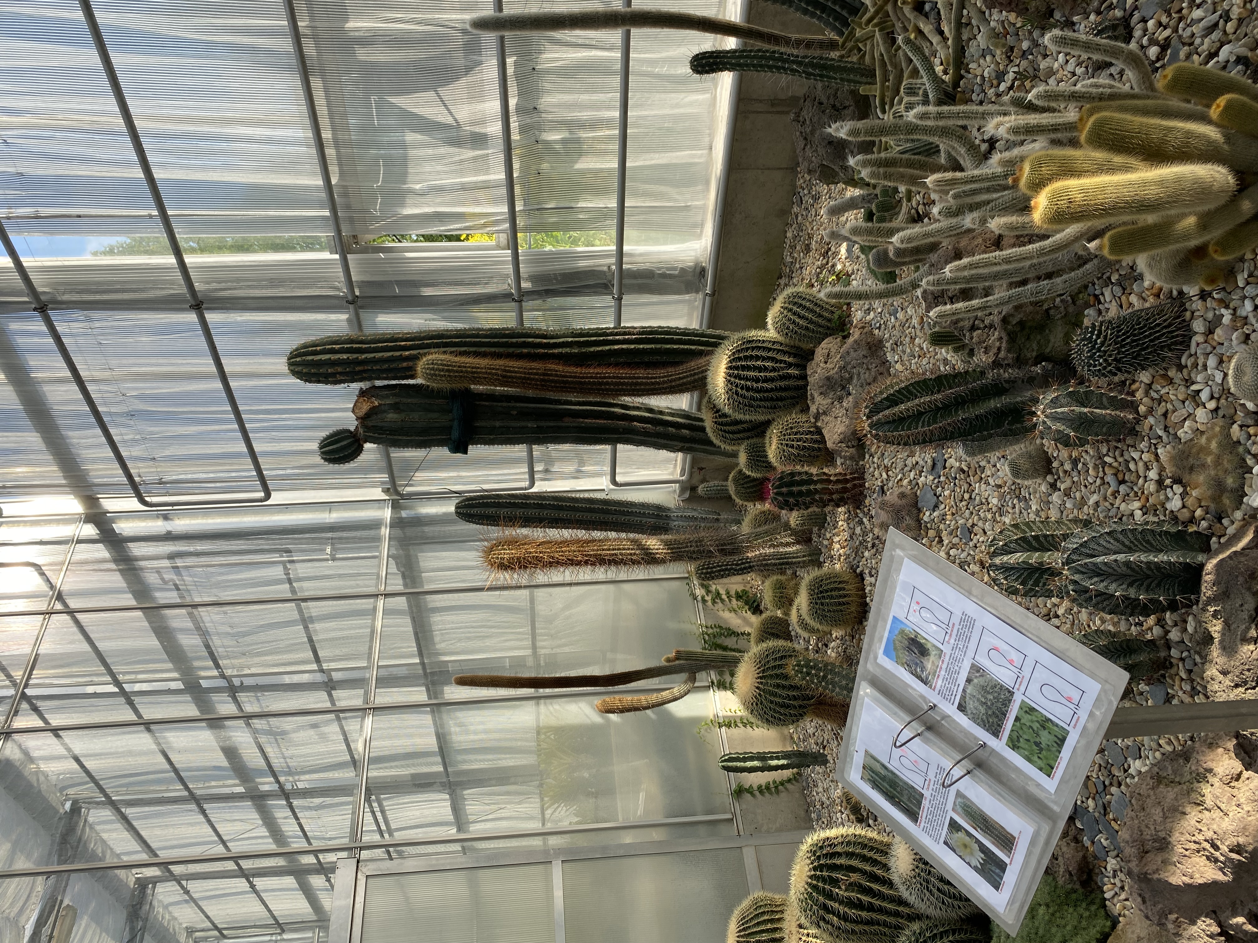 Arboretum Nový Dvůr foto 2