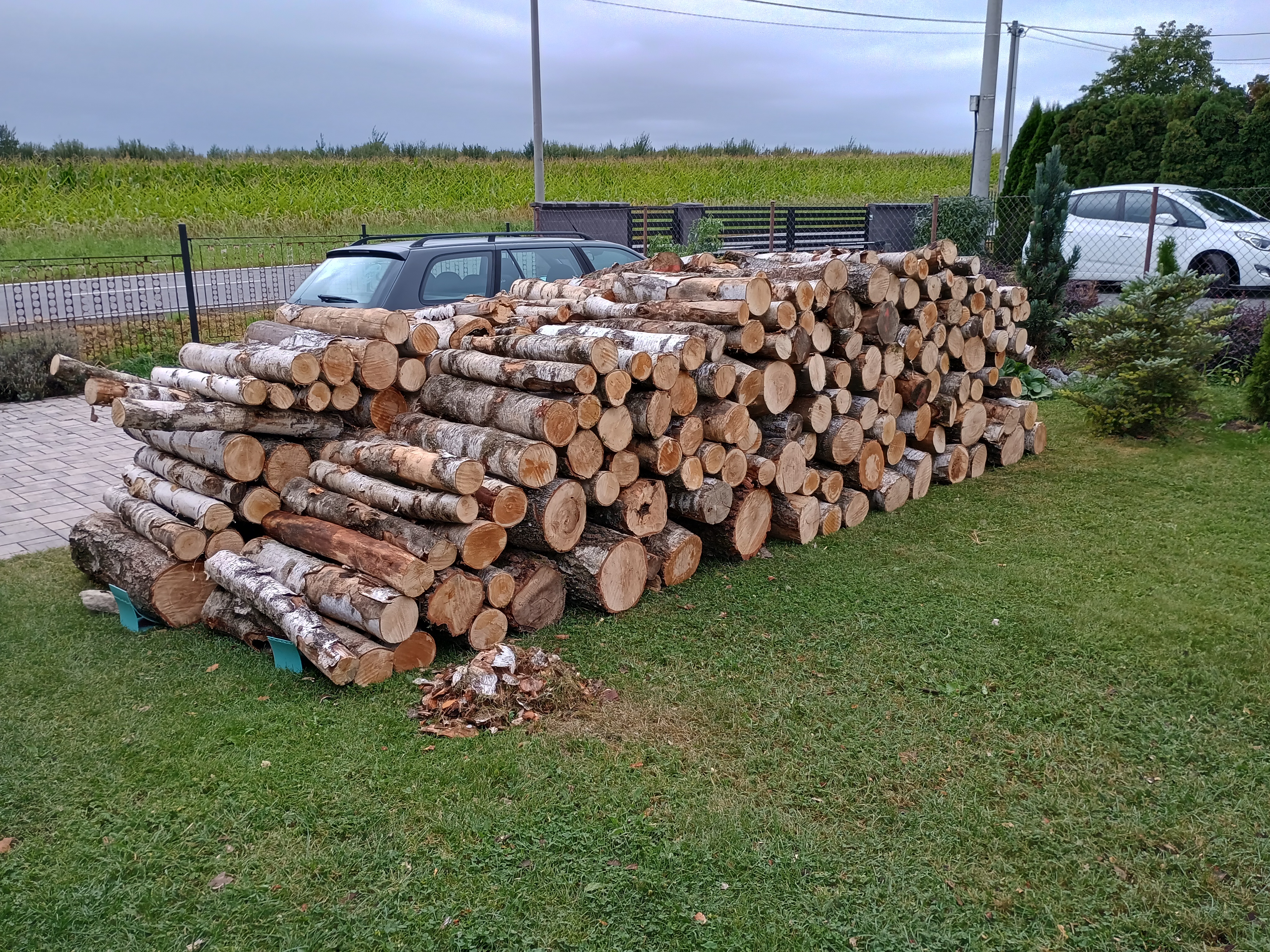 Palivové dřevo David Stančík foto 2