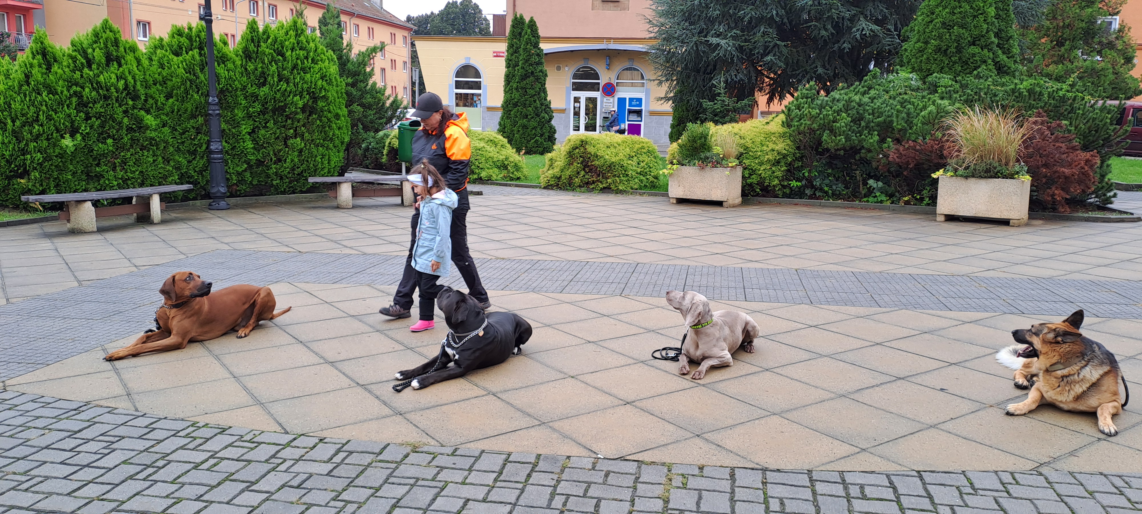 Kynologický spolek Psí ráj Dubňany foto 6