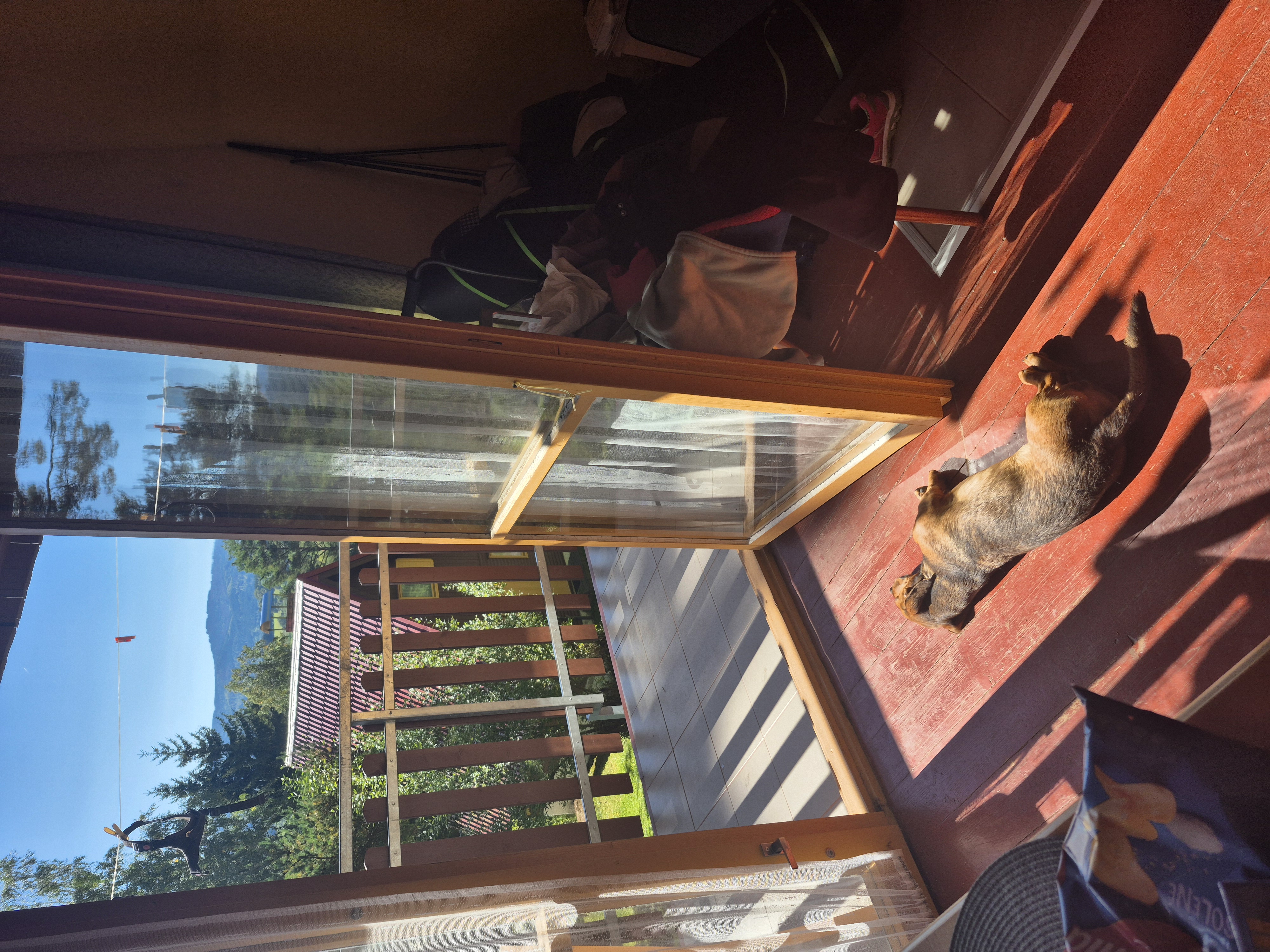 U Starýho Růžičky & Lipenka foto 5