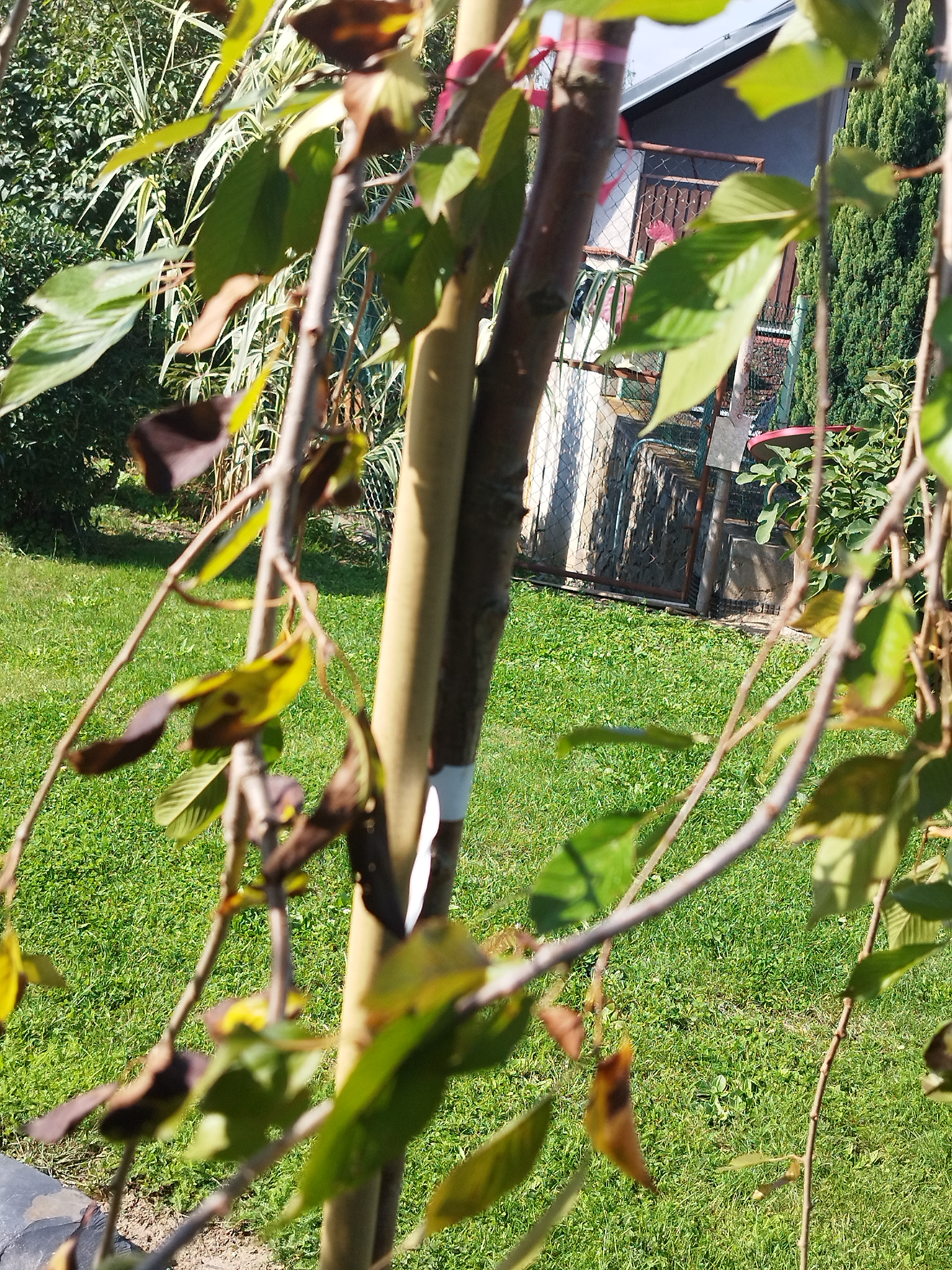 Zboží.cz foto 4