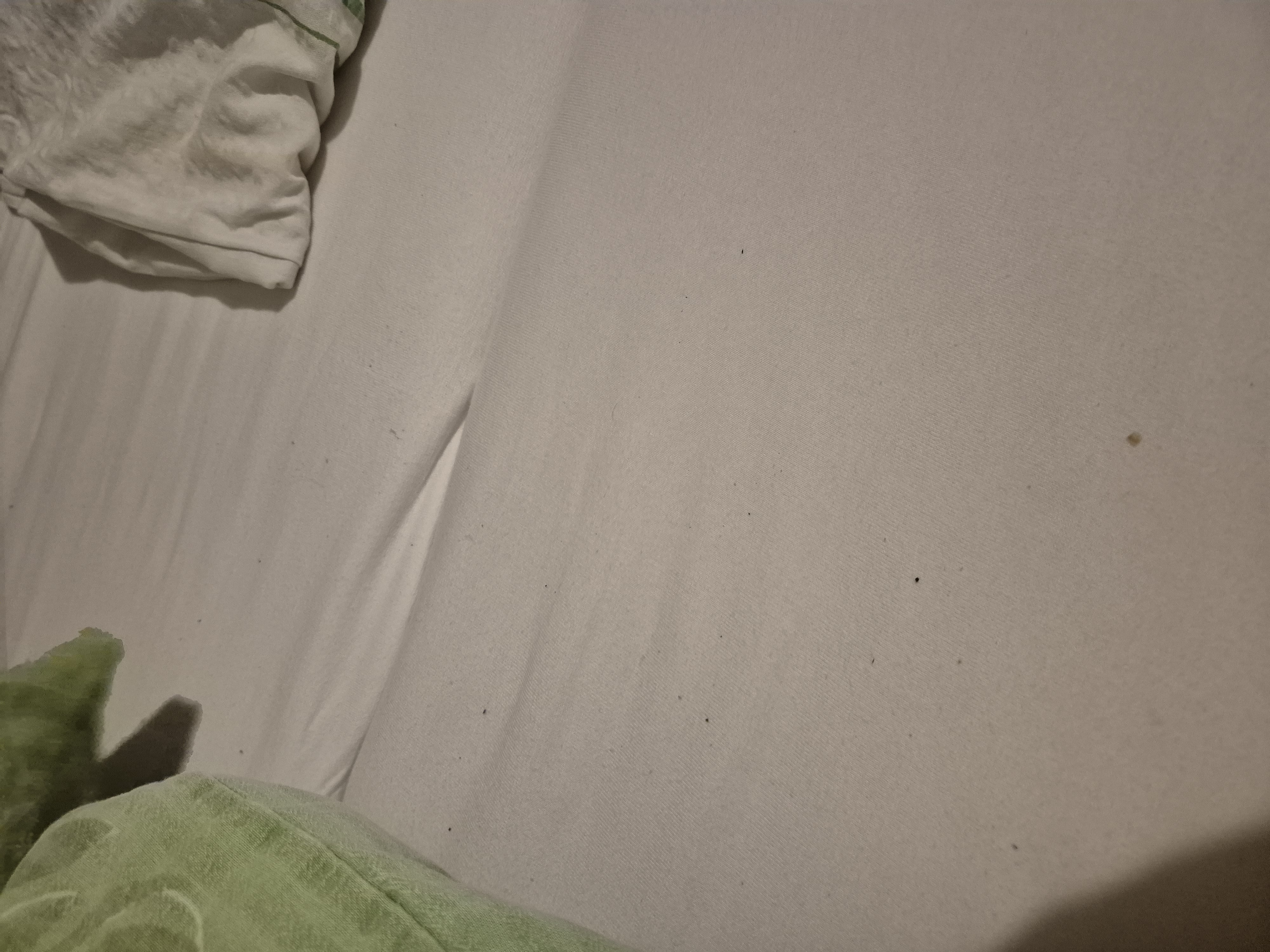Penzion Pod Palavů foto 5