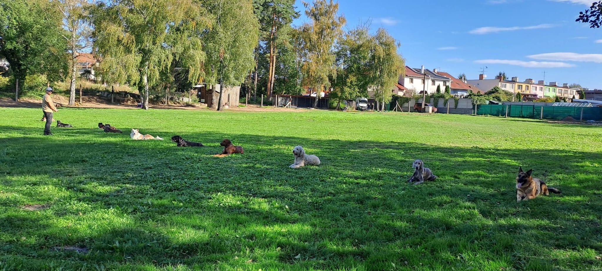 Kynologický spolek Psí ráj Dubňany foto 4