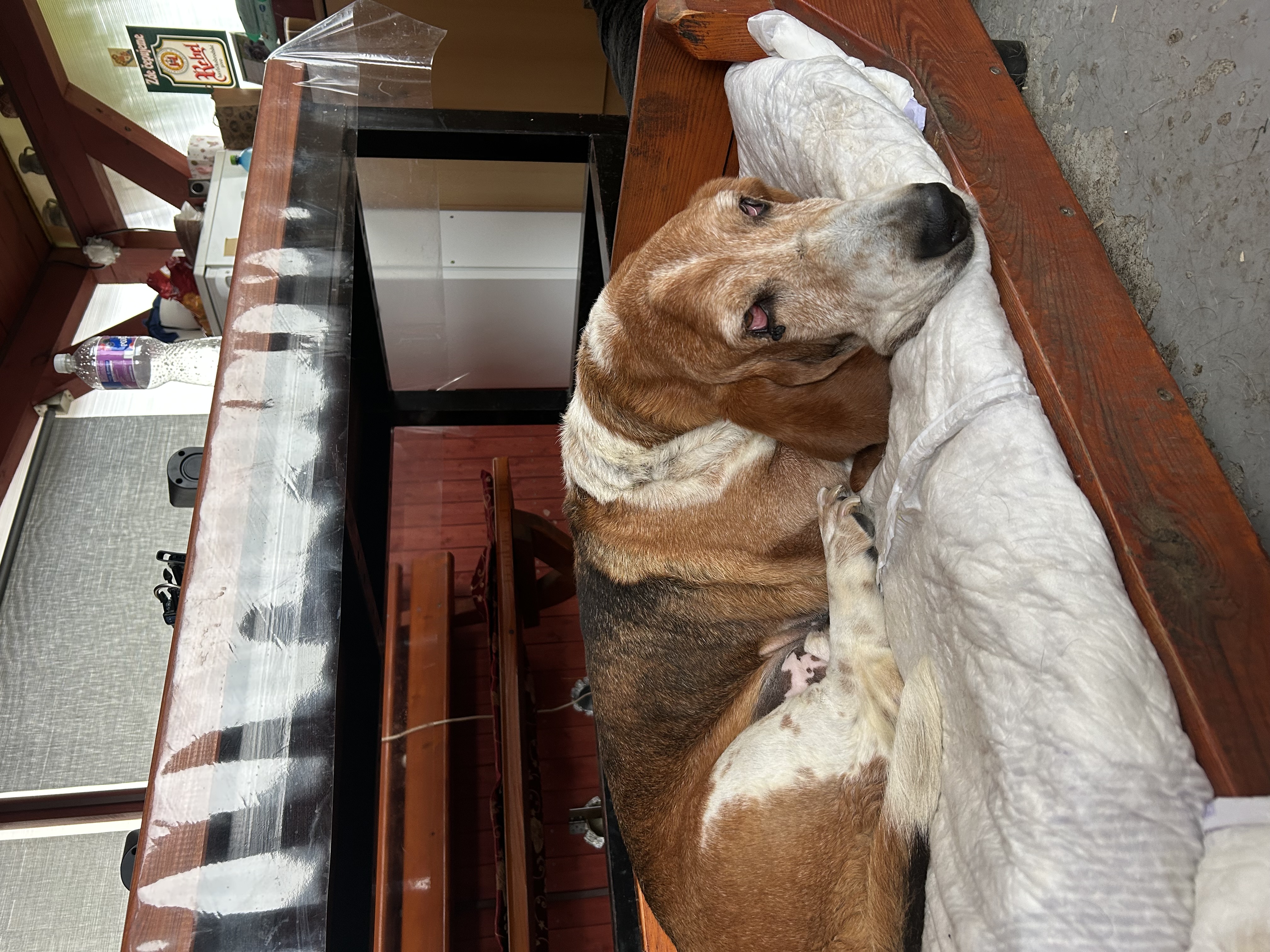 MVDr. Jaromír Štursa - veterinární klinika foto 2