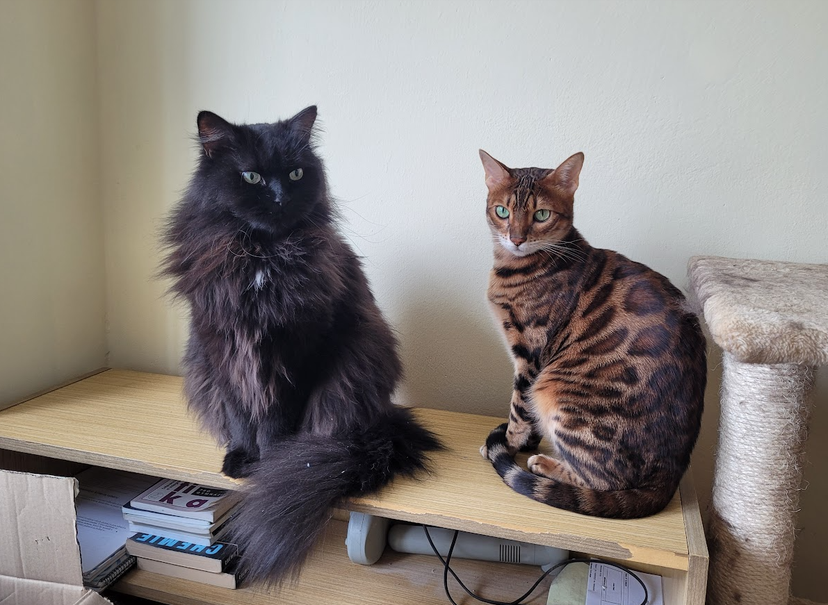 Veterinární nemocnice Libuš foto 2