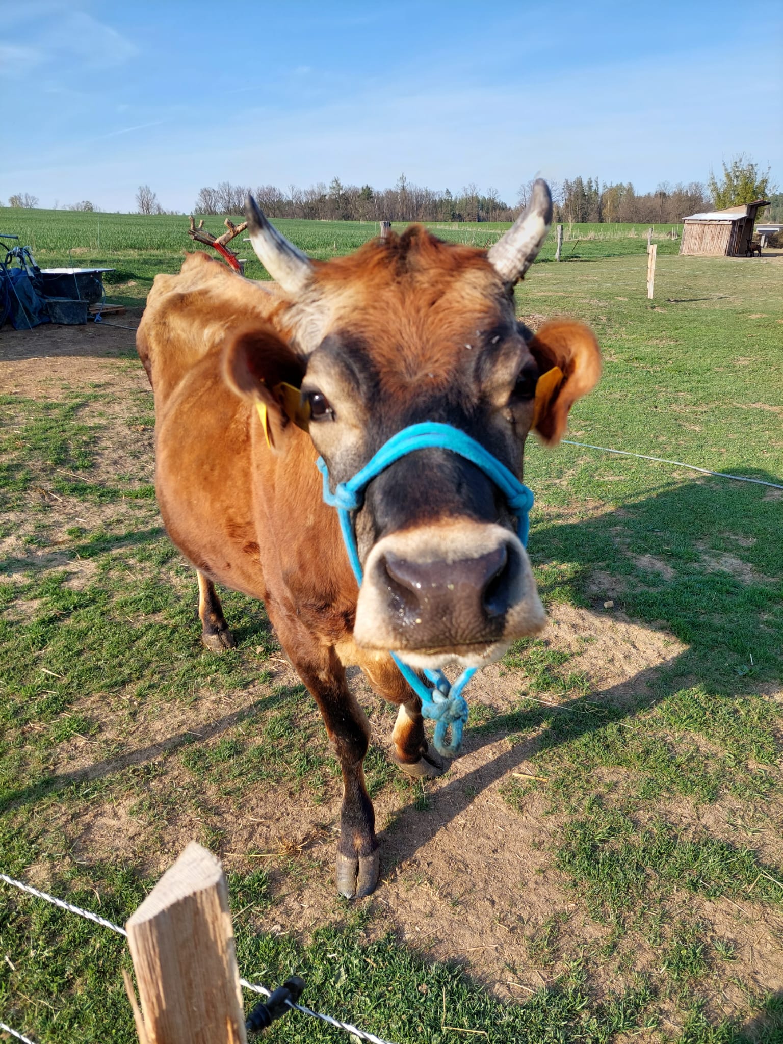 Farma na Kopečku foto 2