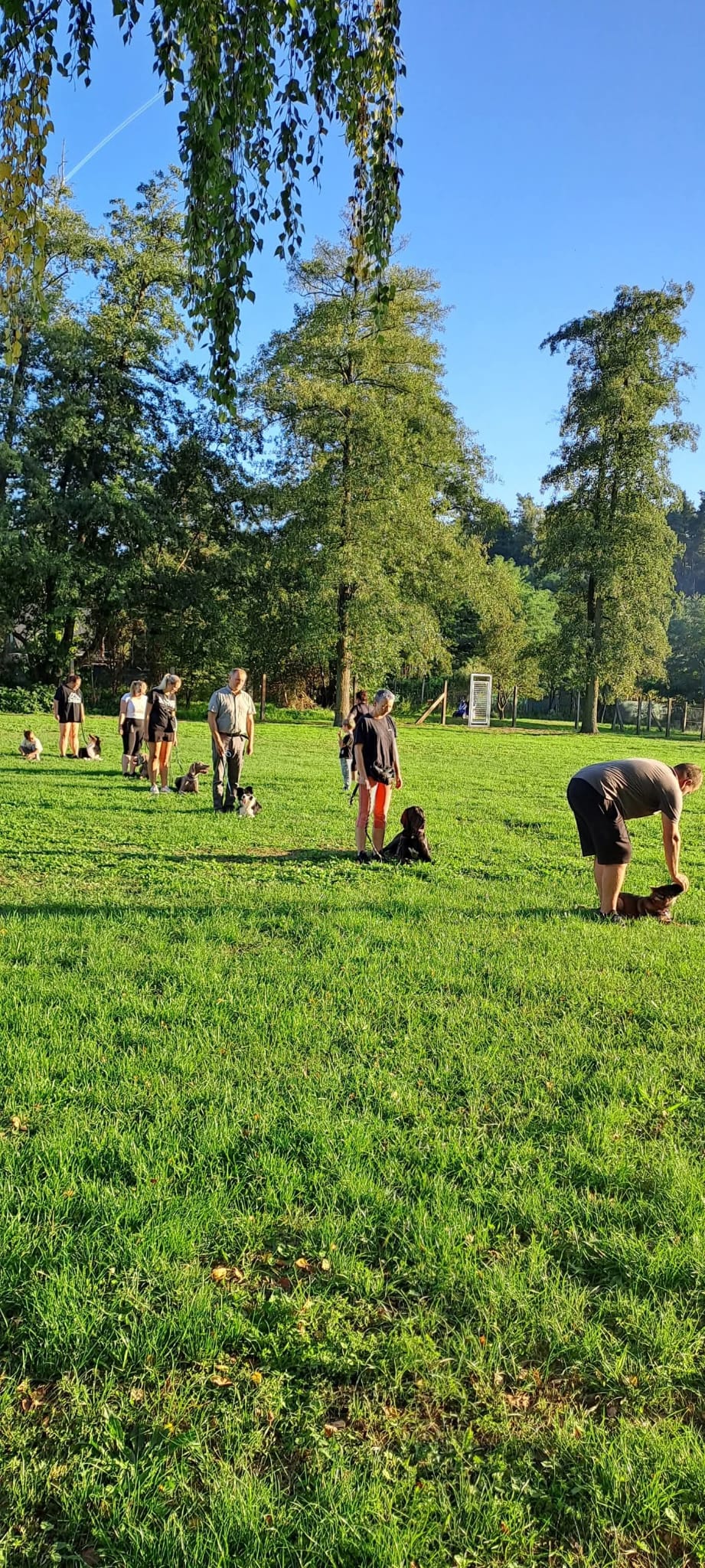 Kynologický spolek Psí ráj Dubňany foto 3