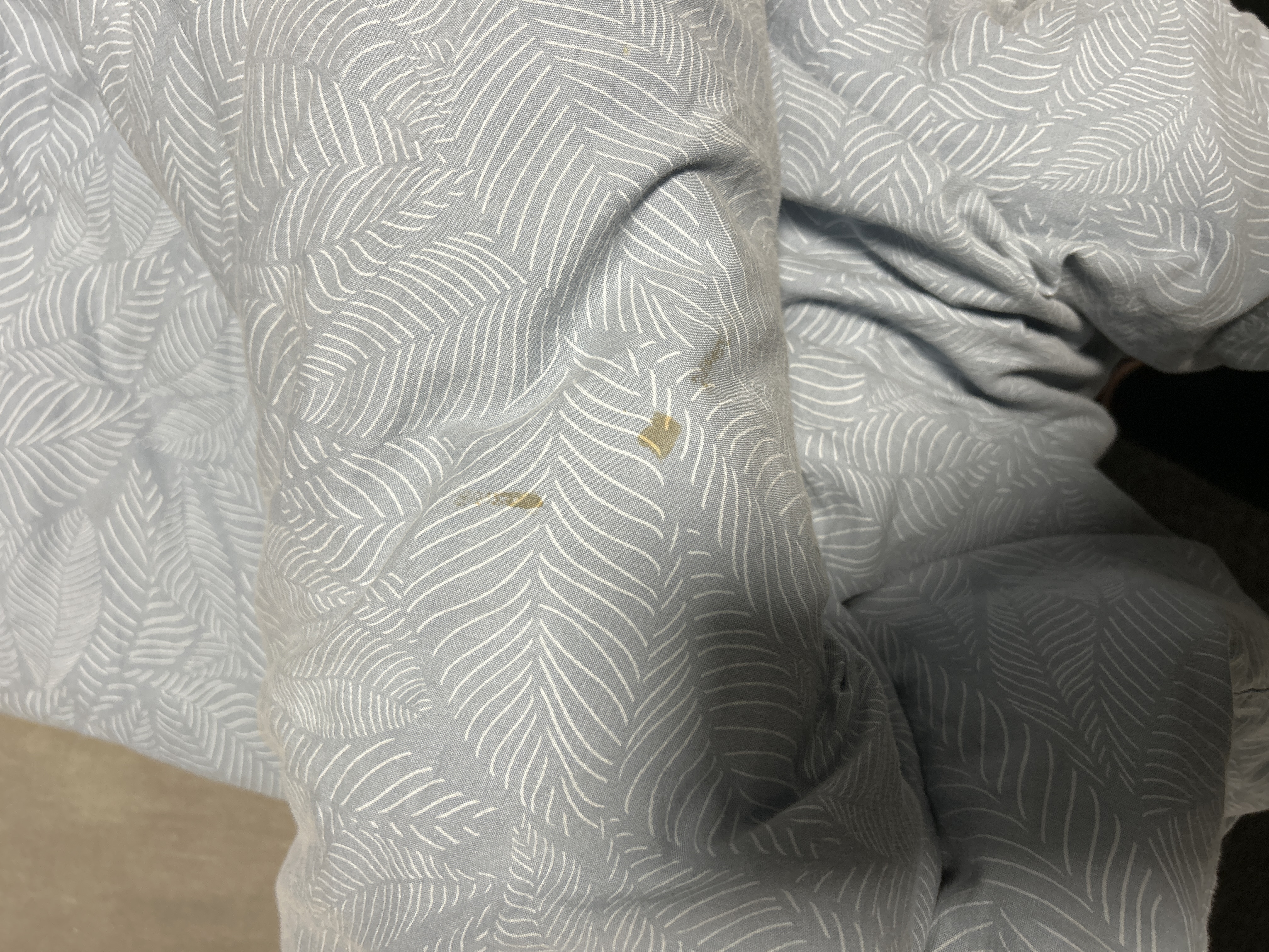 Apartmány Plzeň Zborovská foto 4