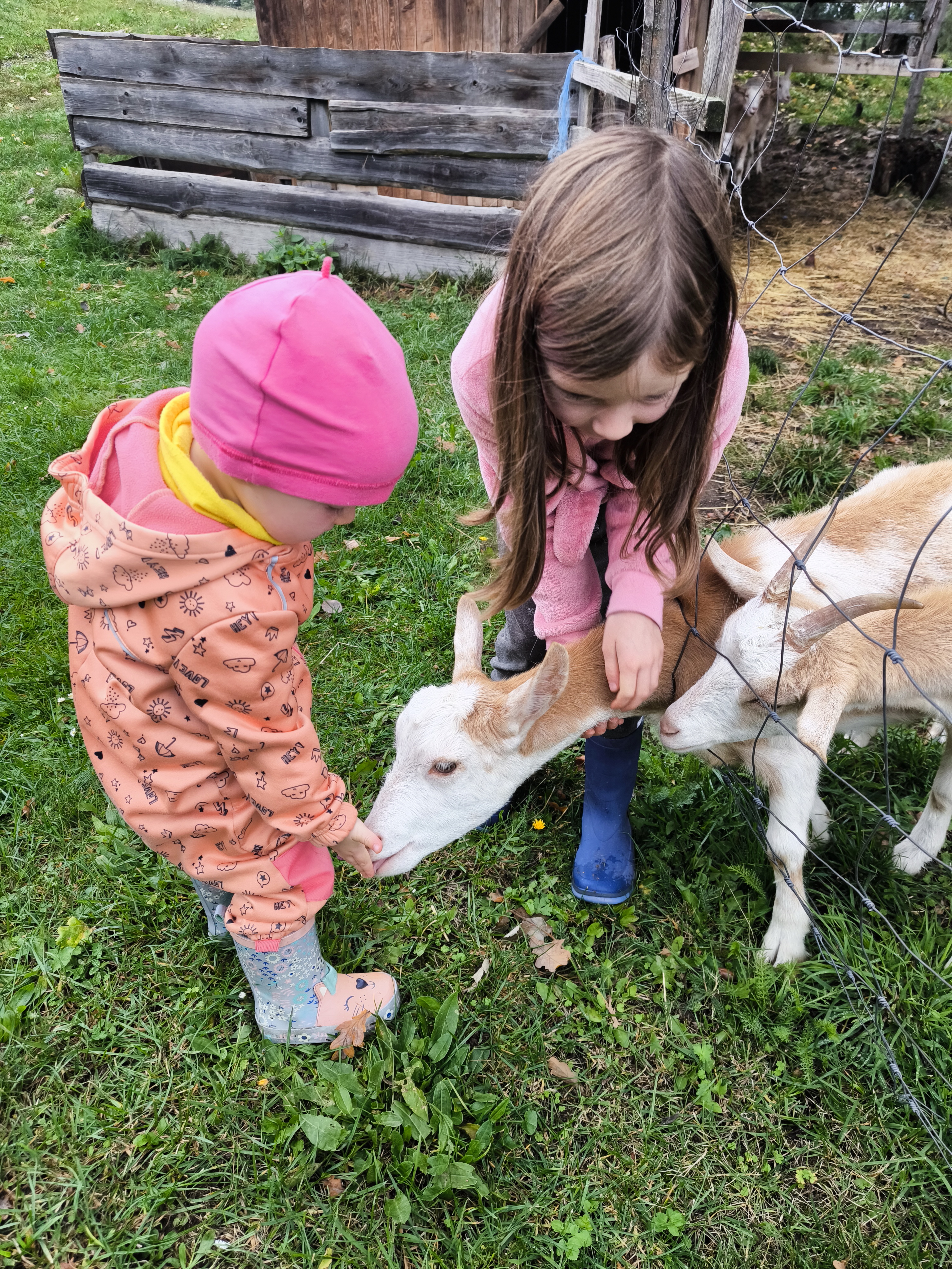 Kozí farma - Horní chalupa foto 3