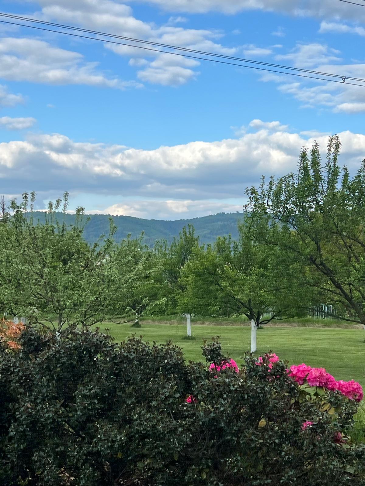 Pokoj U lesa Zaolší foto 4