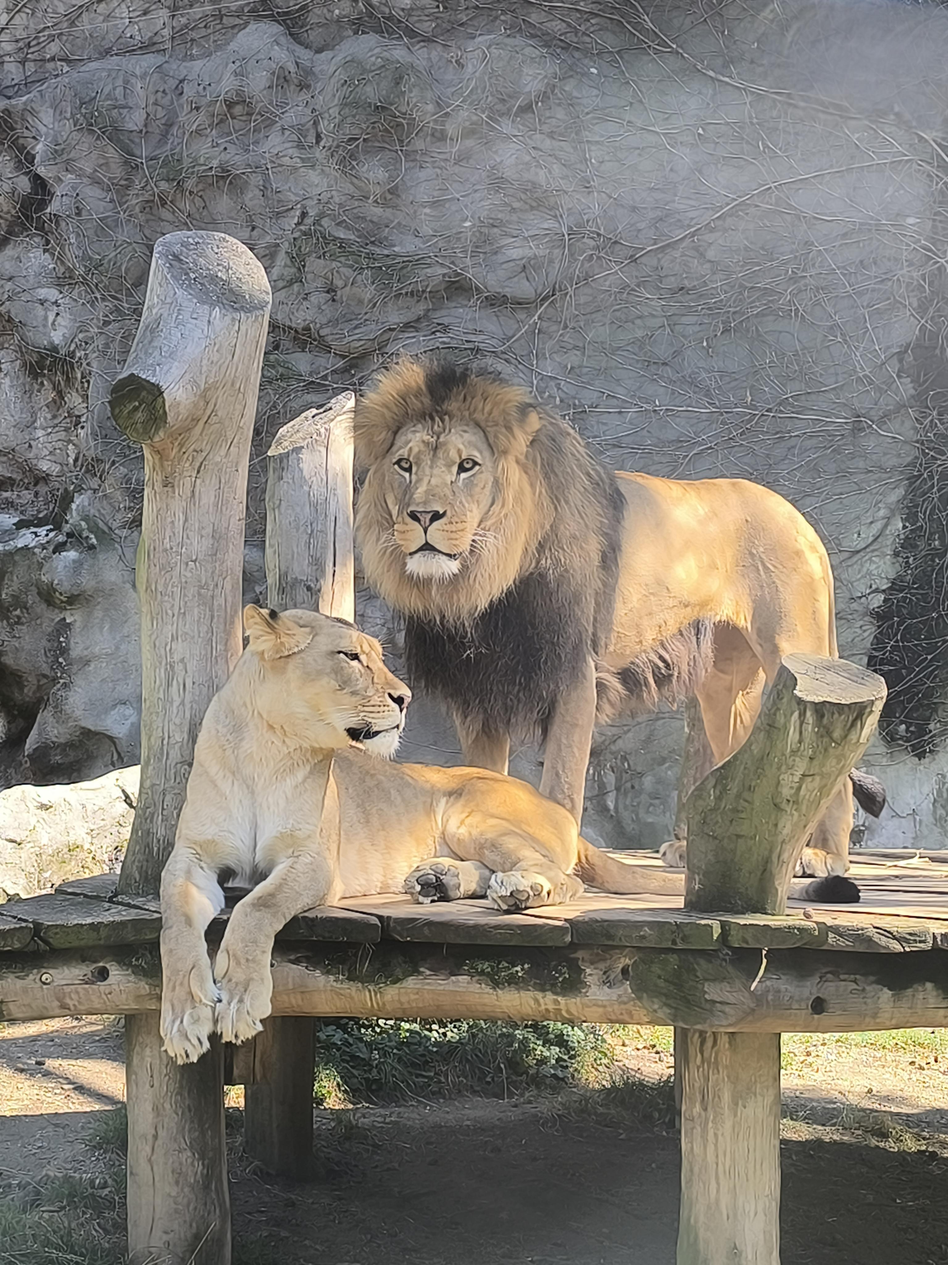ZOOOLOMOUC foto 5