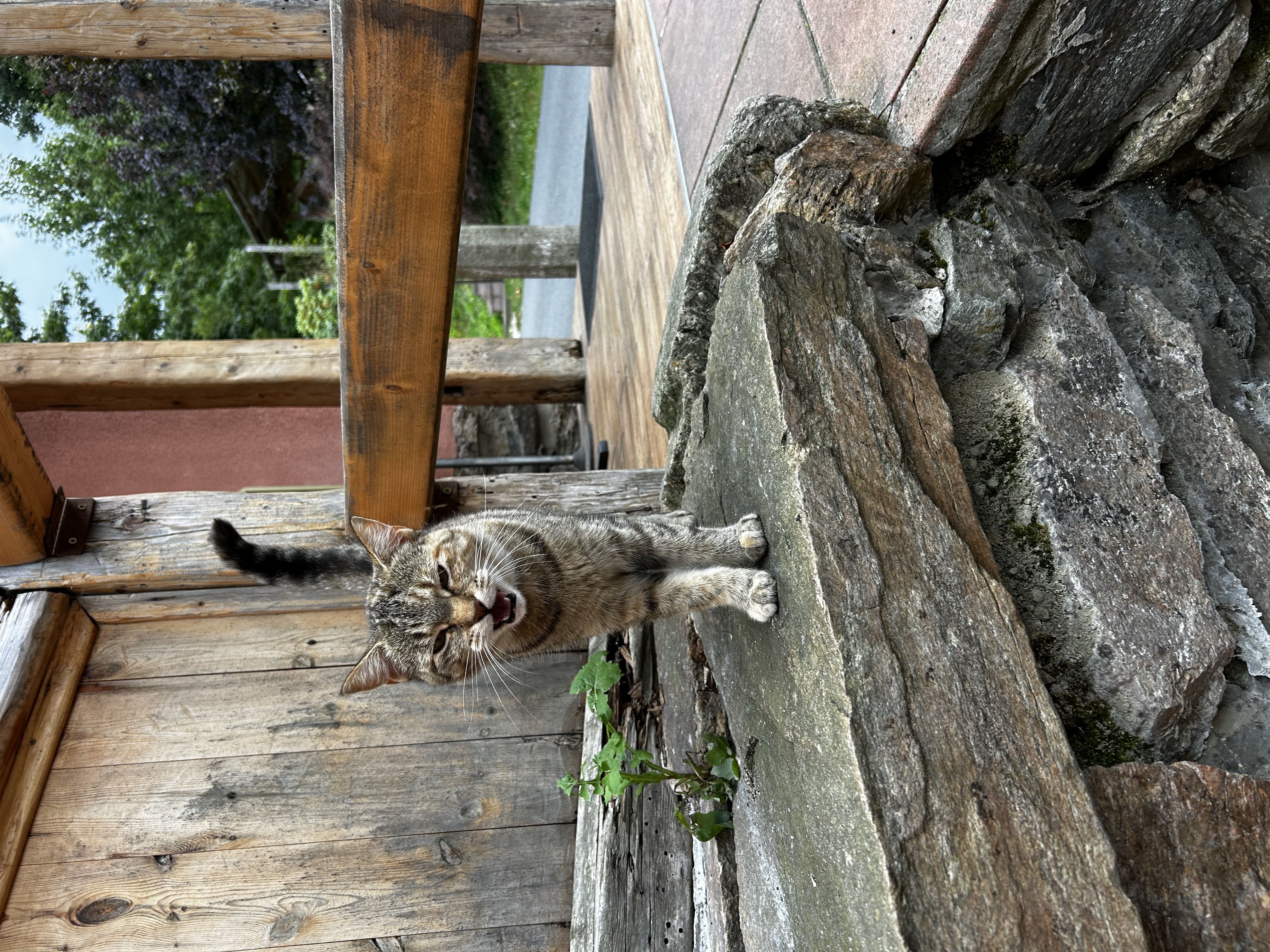 U Oravců foto 5