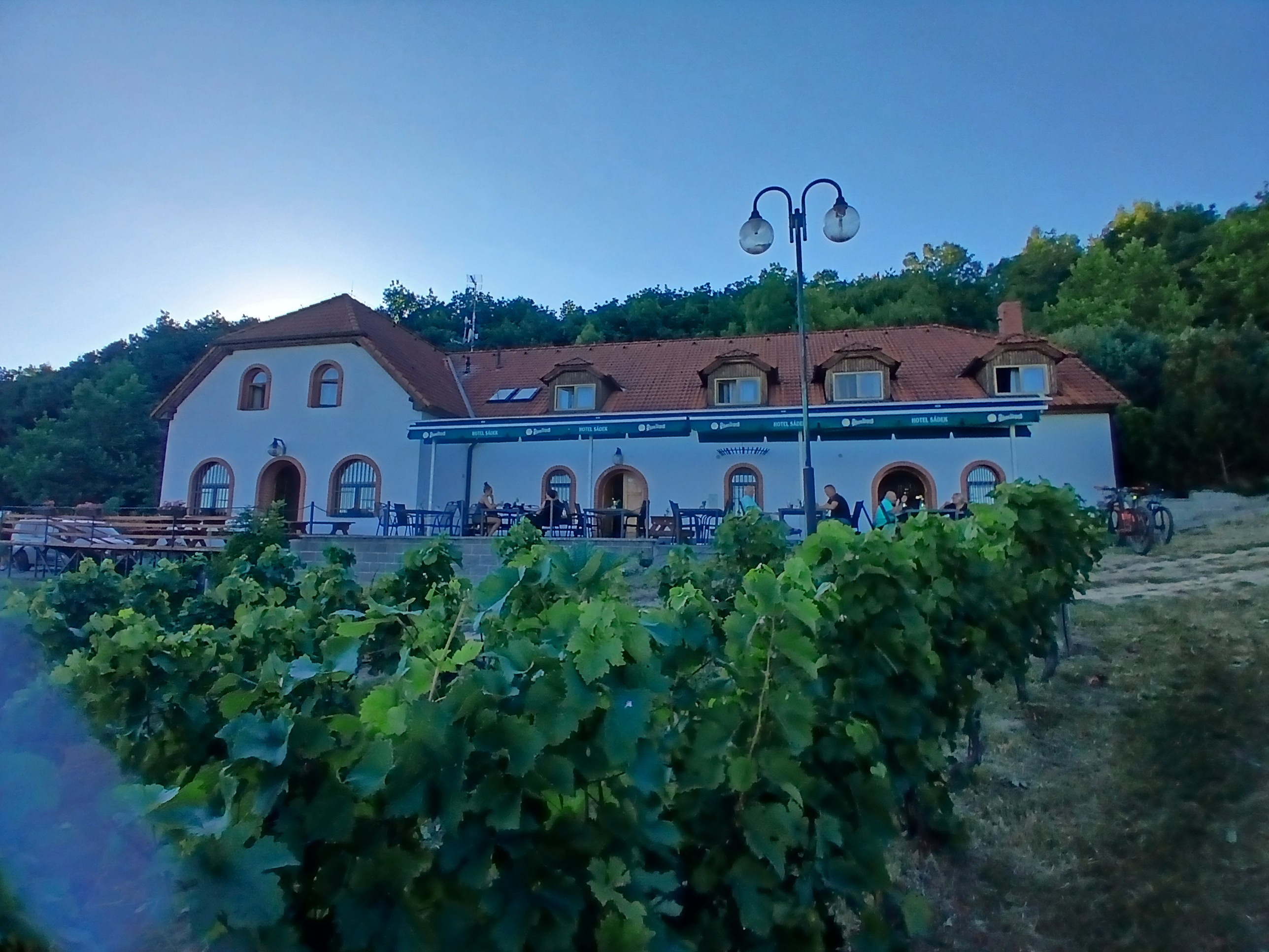 Vinařství Sádek *** foto 6